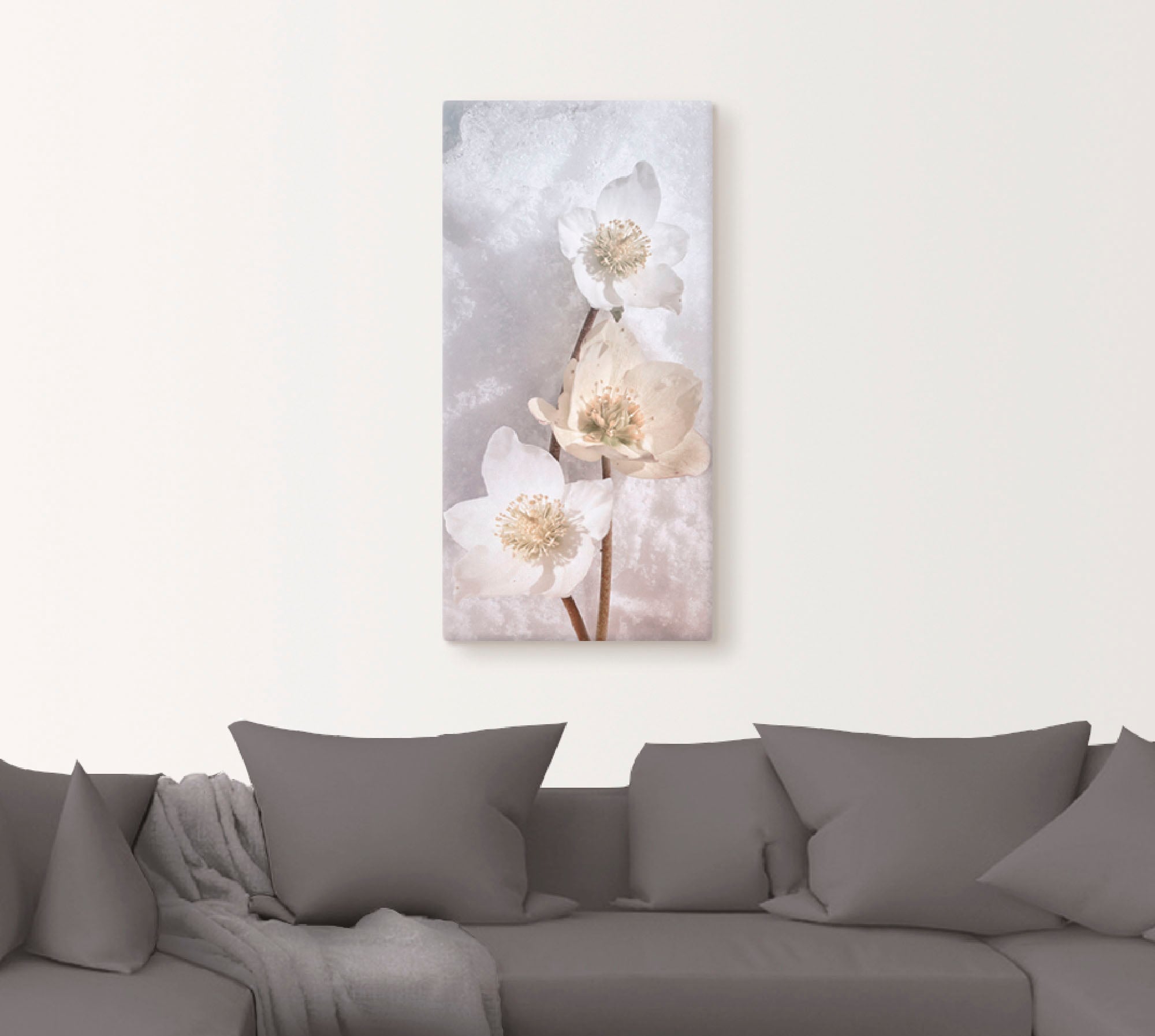 Artland Wandbild »Christrose im Schnee«, Blumen, (1 St.), als Leinwandbild, Poster in verschied. Größen