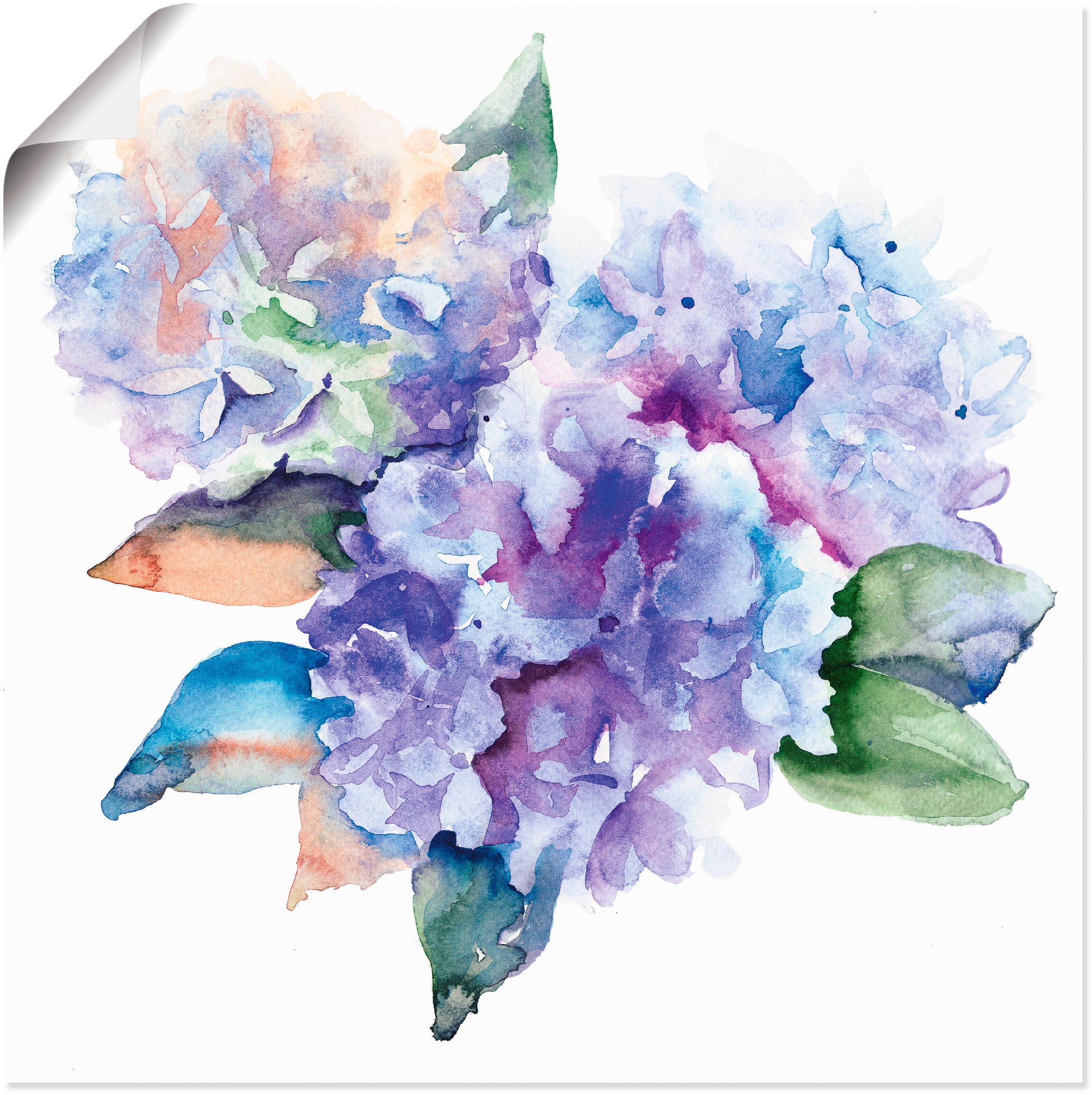 Blumen, Artland St.), bequem »Hortensien«, (1 verschied. in kaufen Wandbild Leinwandbild, Poster Größen als