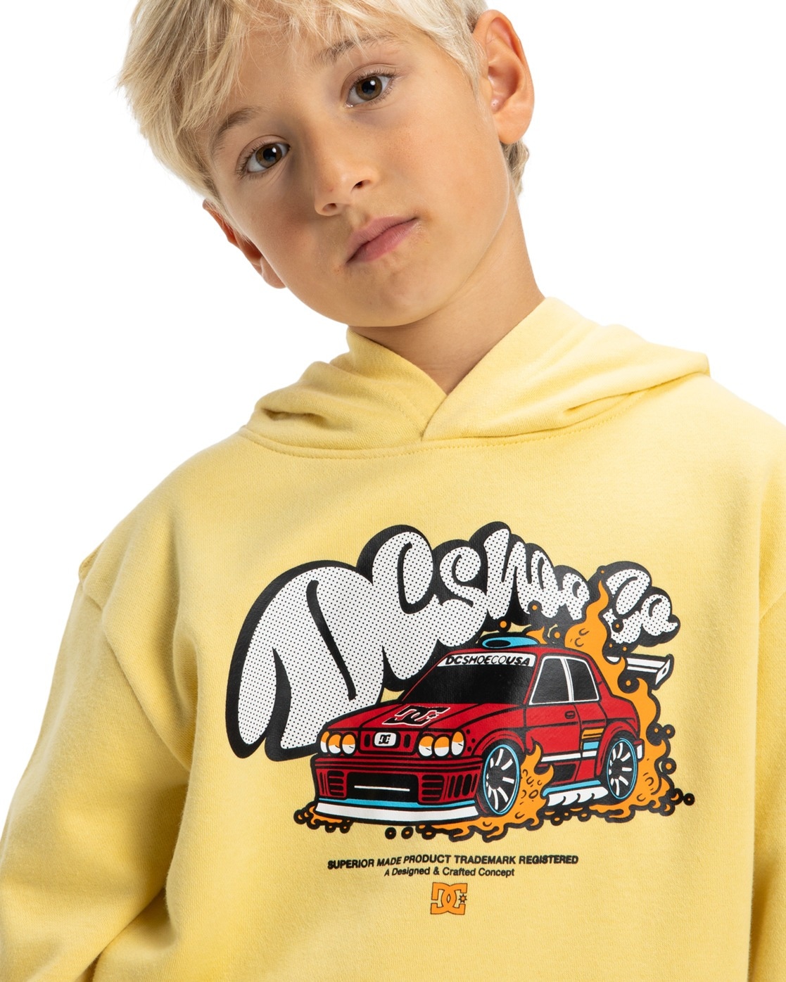 DC Shoes Kapuzensweatshirt »Tire Fire«
