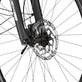 FISCHER Fahrrad E-Bike »VIATOR ETD 2222 557«, 24 Gang, Shimano, Altus, Heckmotor 250 W, (mit Akku-Ladegerät-mit Werkzeug)