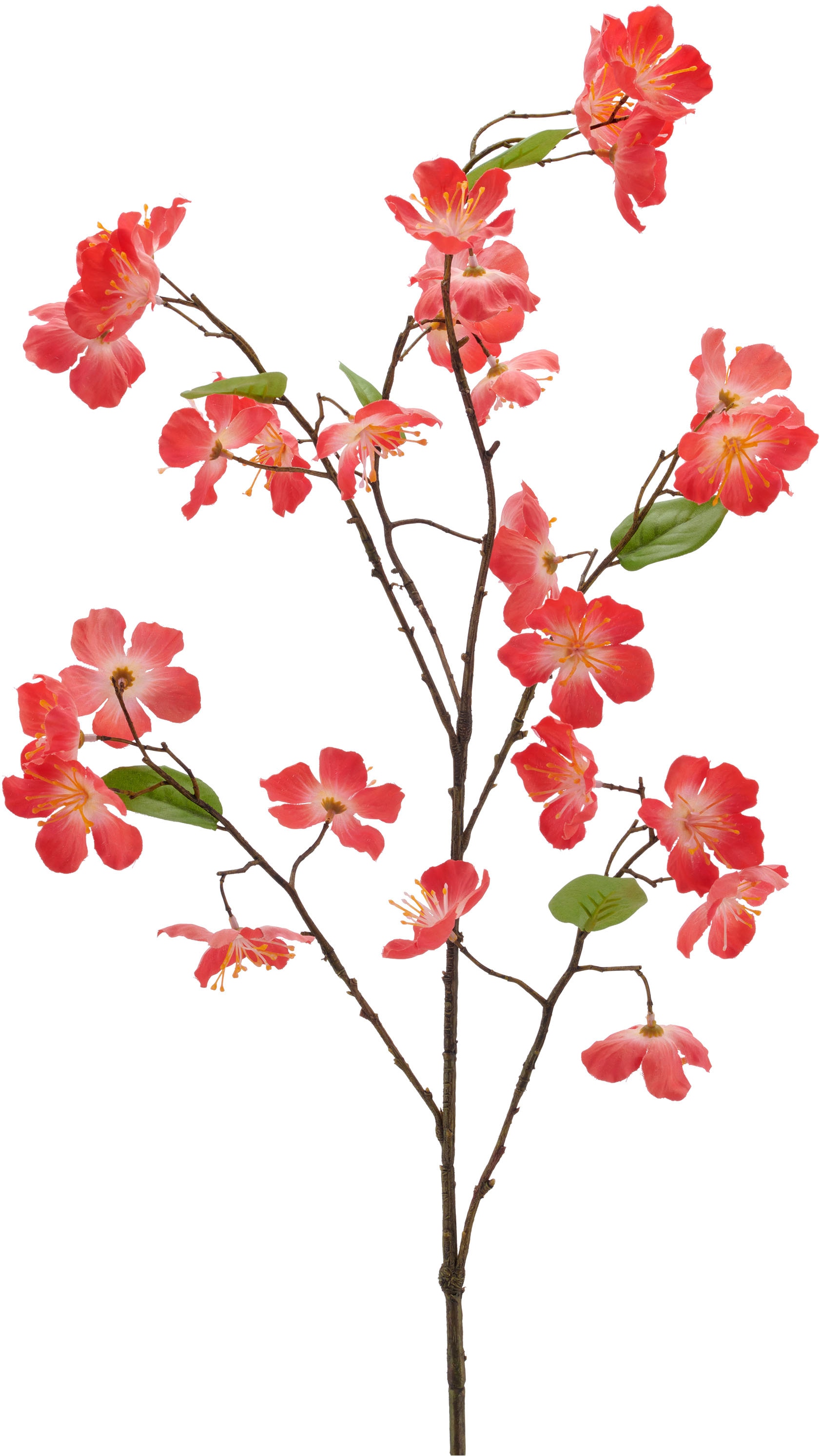 Creativ green Kunstzweig »Kirschblütenzweig« mit traumhaft schönen Blüten