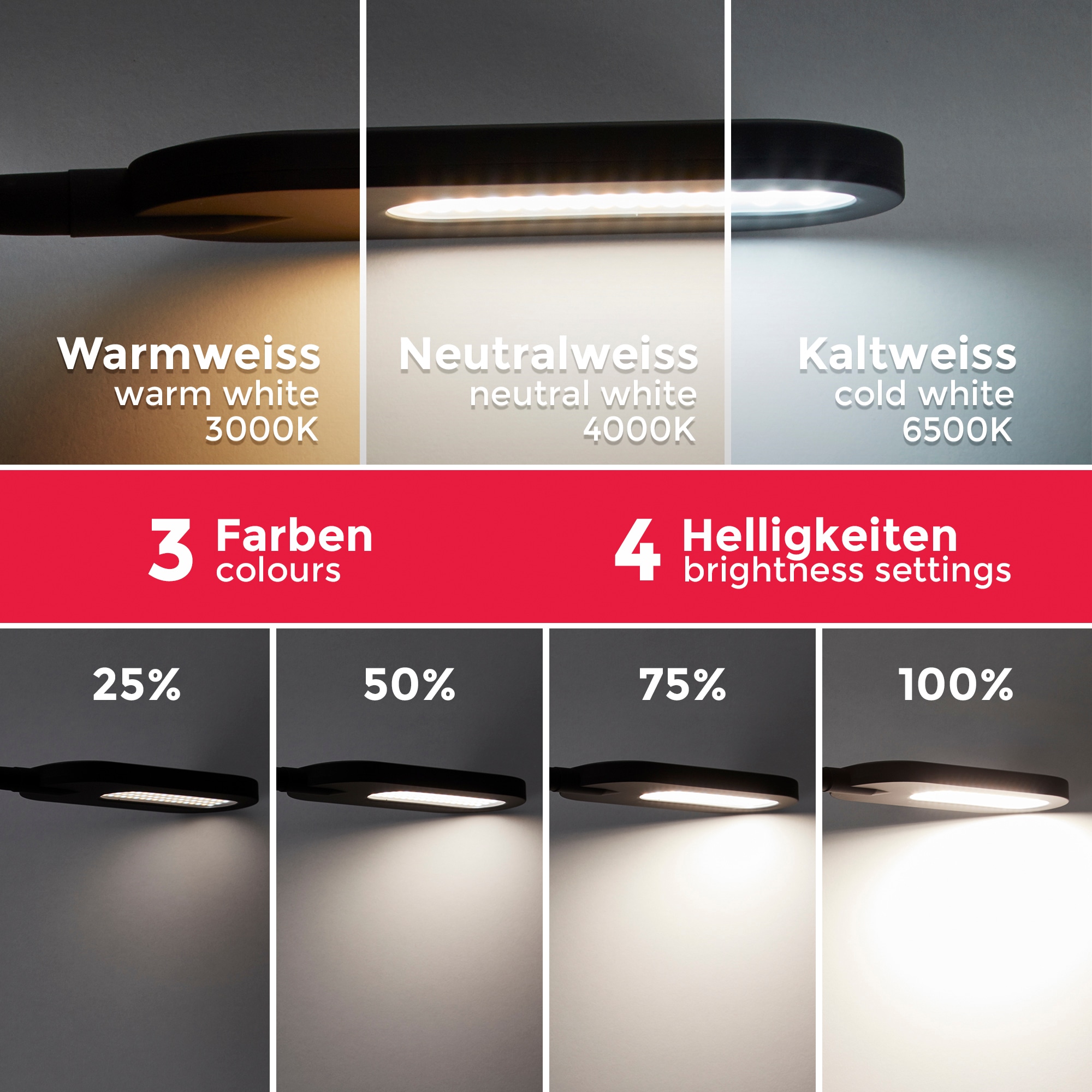 B.K.Licht LED Stehlampe, online mit kaufen Watt, 8 Jahren 600lm, 1 Garantie 6.500K über / LED-Platine / 4.000K 3 Touchschalter 3.000K x XXL | Farbtemperatur einstellbar