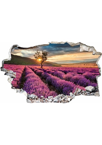 Wall-Art Wandtattoo »Lavendel in der Provence« kaufen