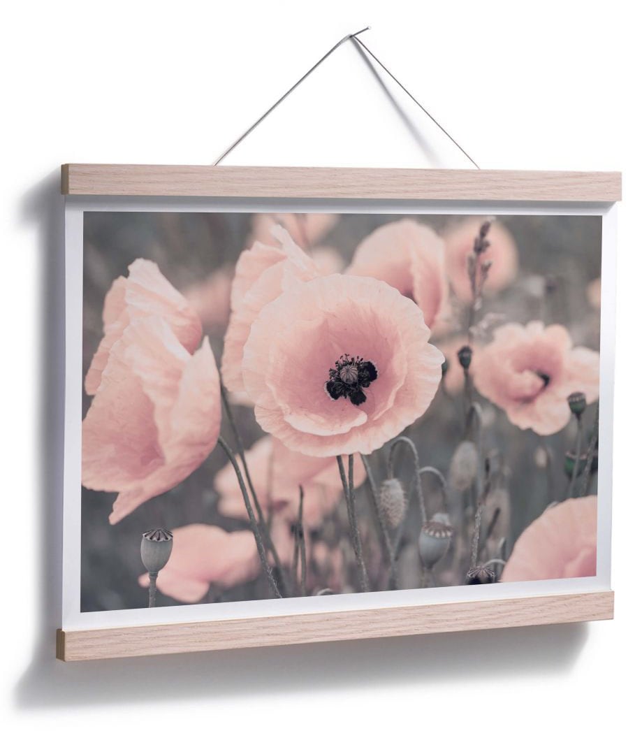 bestellen (1 Raten »Rosa Poster Wall-Art St.) Mohnblume«, auf Blumen,