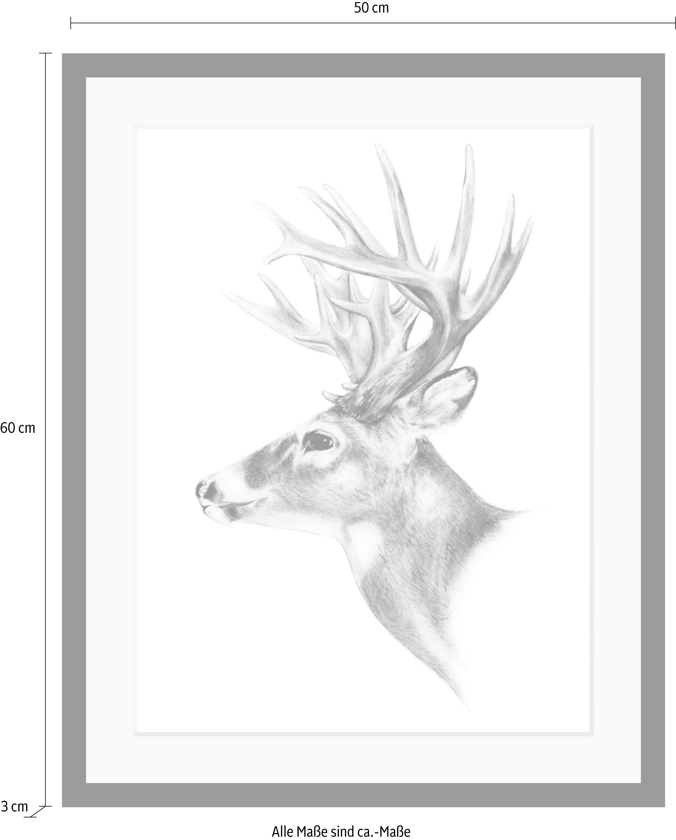 queence Bild »Hirsch«, Hirsch-Tiere-Wildtiere-Hirschbilder-Schwarz-Weiß, HD Premium Poster-Druck inkl. Holzrahmen