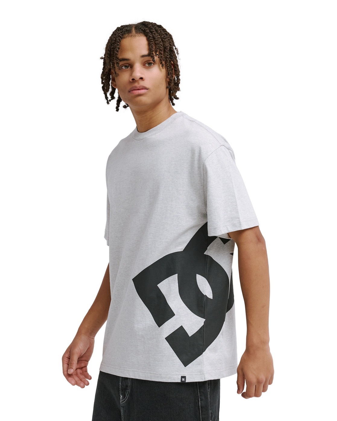 DC Shoes T-Shirt »DC Lanai«