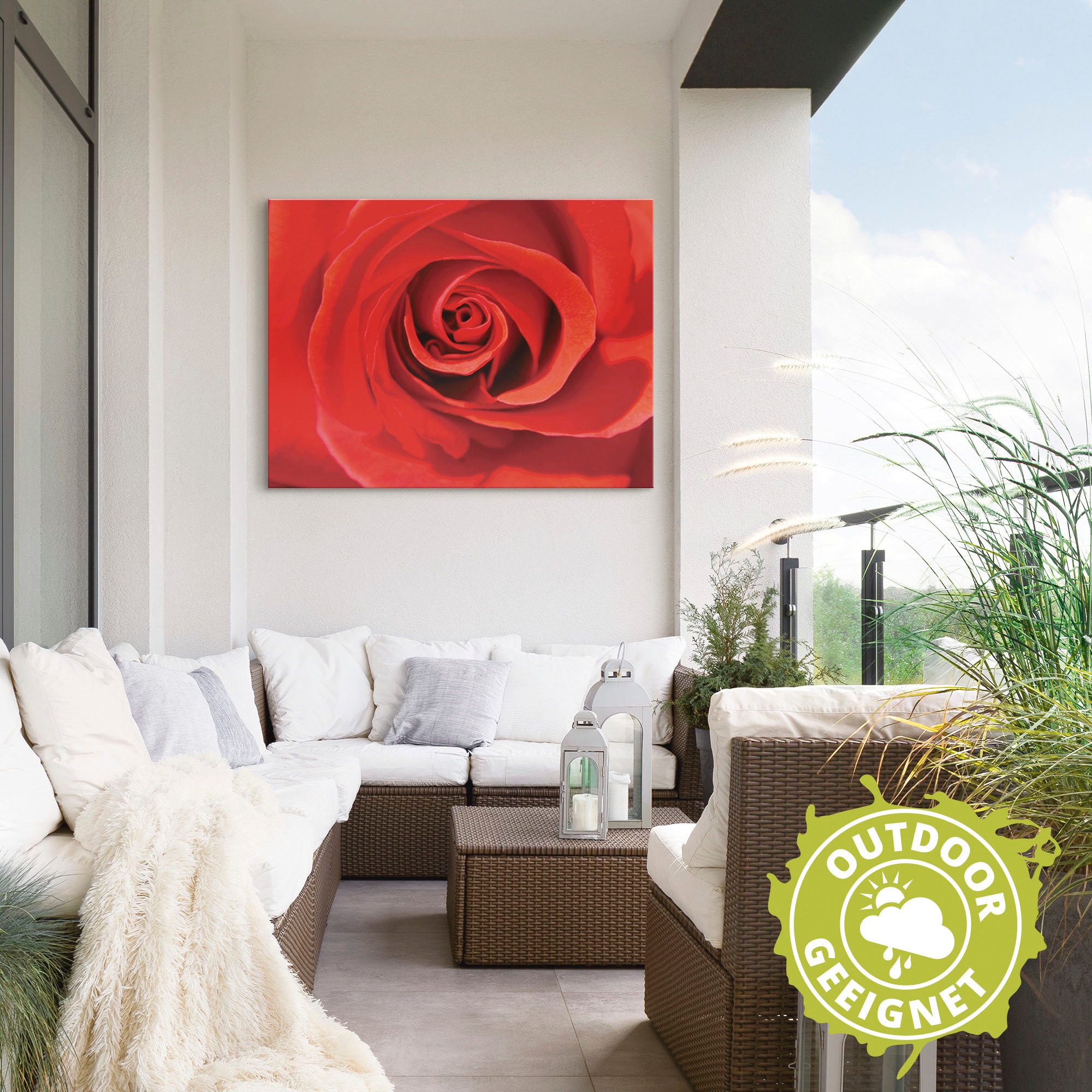 auf Größen St.), Rechnung Artland Poster Wandaufkleber Leinwandbild, in oder Blumenbilder, als Wandbild bestellen versch. (1 Alubild, »Rose rot_Detail«,