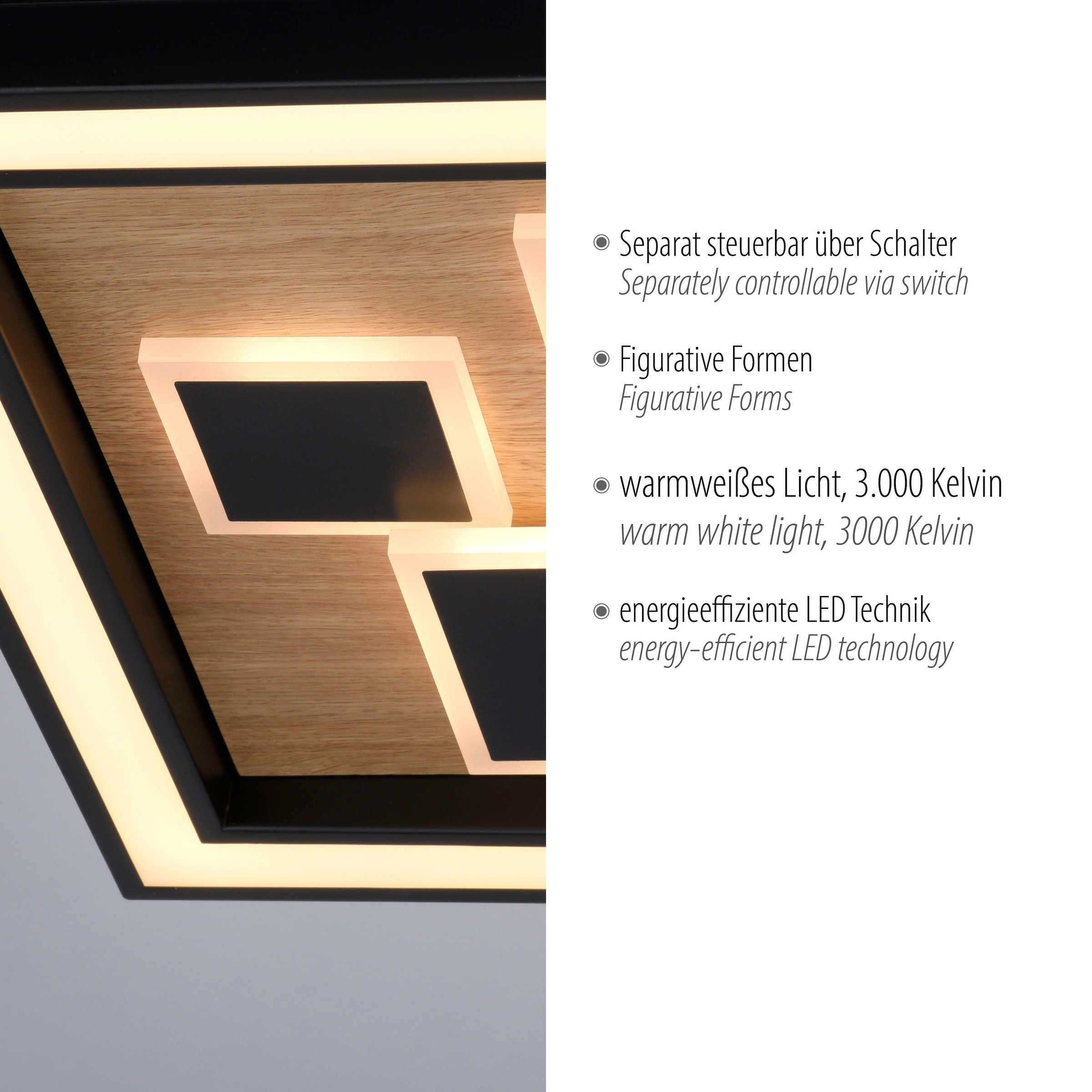Paul Neuhaus LED Deckenleuchte »ELIZA«, 2 flammig, Leuchtmittel LED-Board-LED-Board | LED fest integriert-LED fest integriert