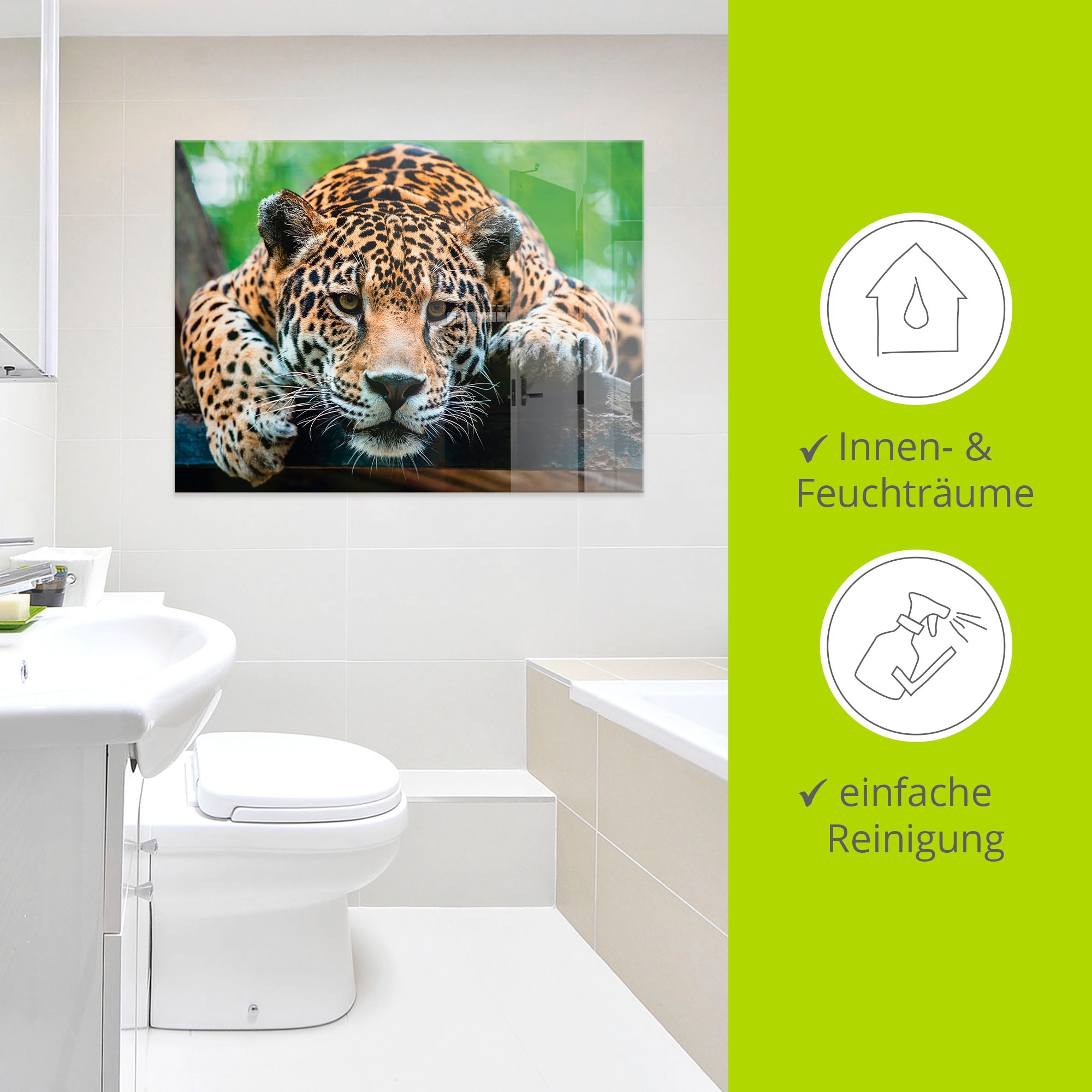 Artland Glasbild »Südamerikanischer Jaguar« Wildtiere 1 Stk. tlg.