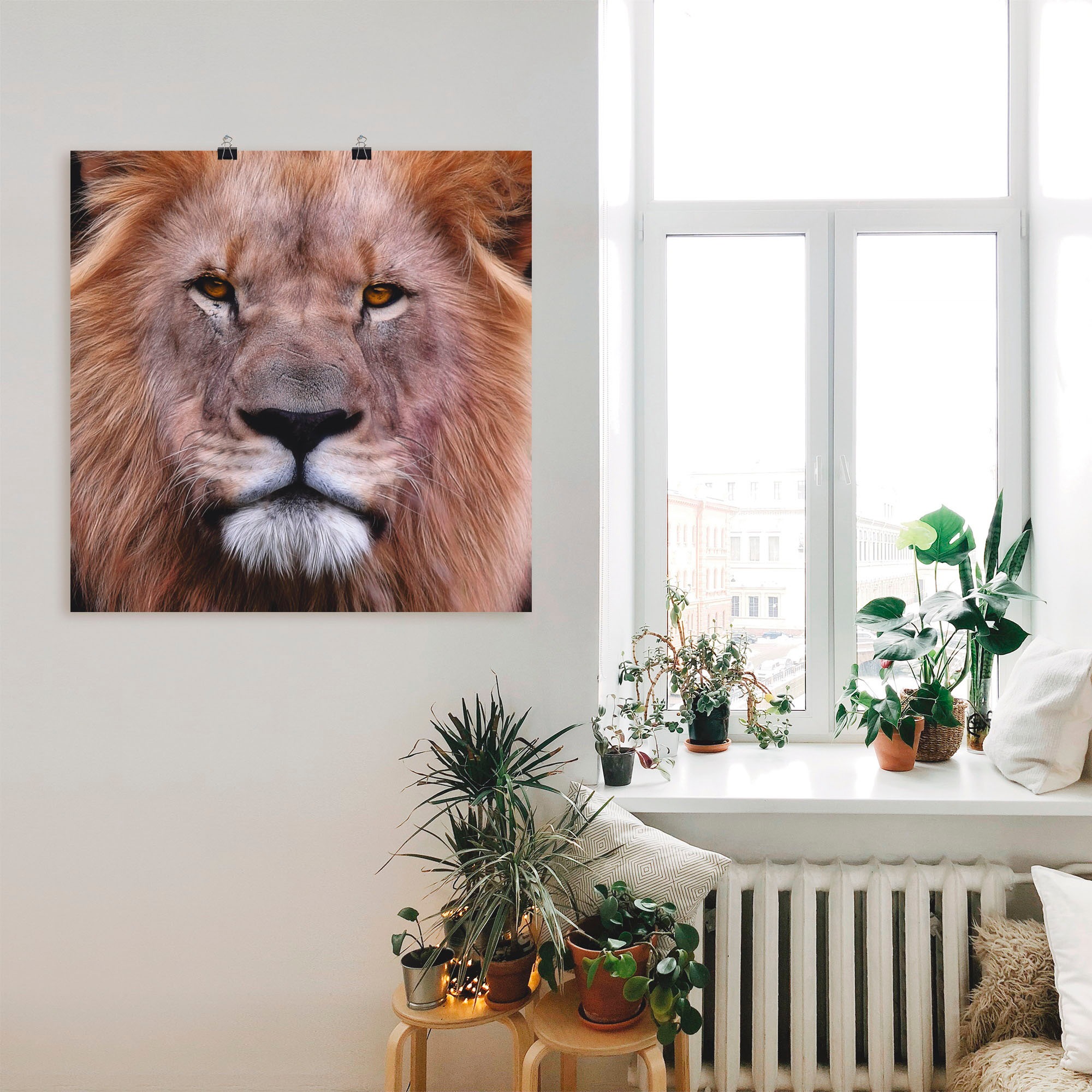 Artland Wandbild »König der Löwen«, Wildtiere, (1 St.), als Leinwandbild,  Wandaufkleber oder Poster in versch. Größen auf Raten bestellen