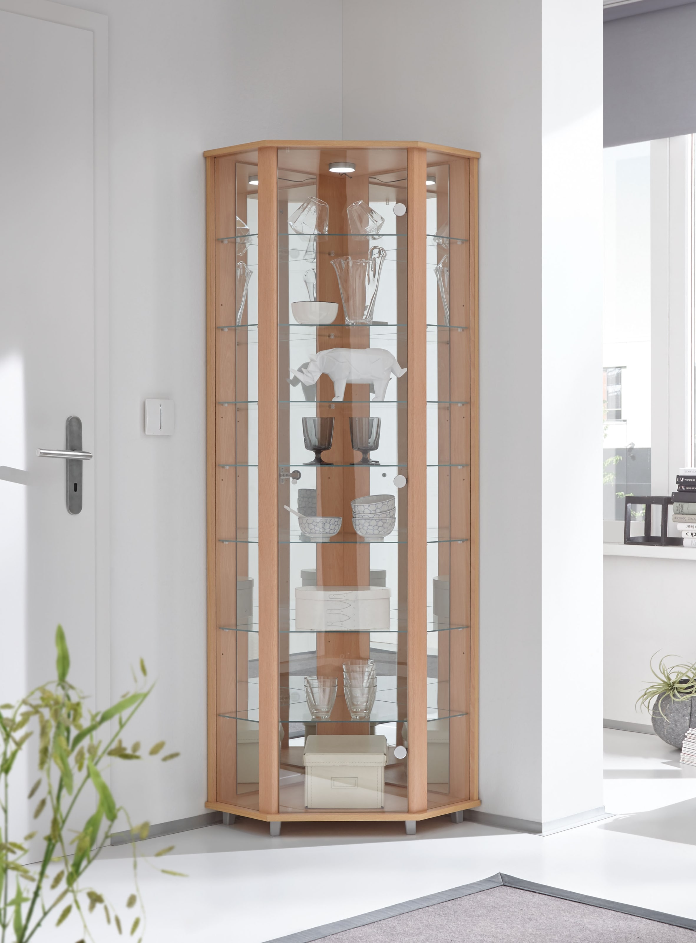 fif möbel Eckvitrine »TRIO Höhe ca. 172 cm, ink. Beleuchtung«, Eckvitrine/Glasvitrine 1x Glastür, perfekt für Sammler, Sammlervitrine