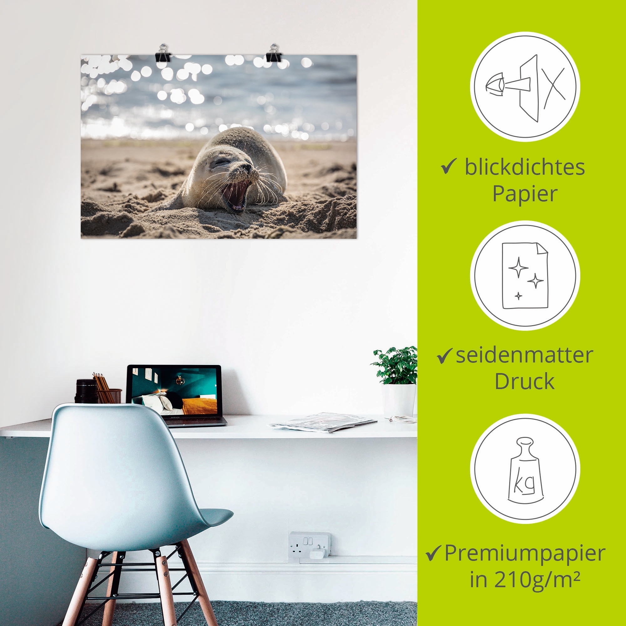 Artland Wandbild »Baby-Robbe am Strand von List, Sylt«, Robben, (1 St.), als Poster, Wandaufkleber in verschied. Größen