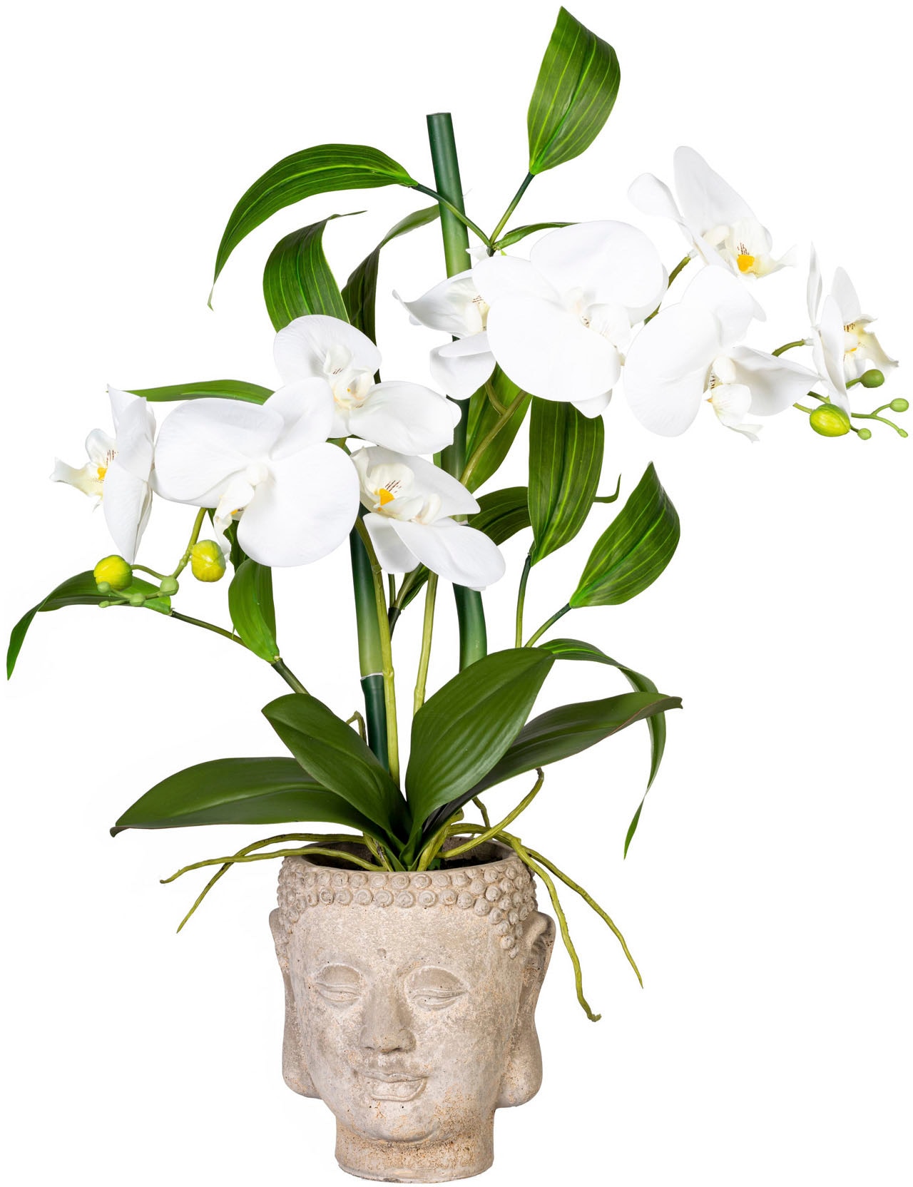 Creativ green Kunstorchidee »Orchideen-Bambus-Arrangement kaufen Buddhakopf« im bequem