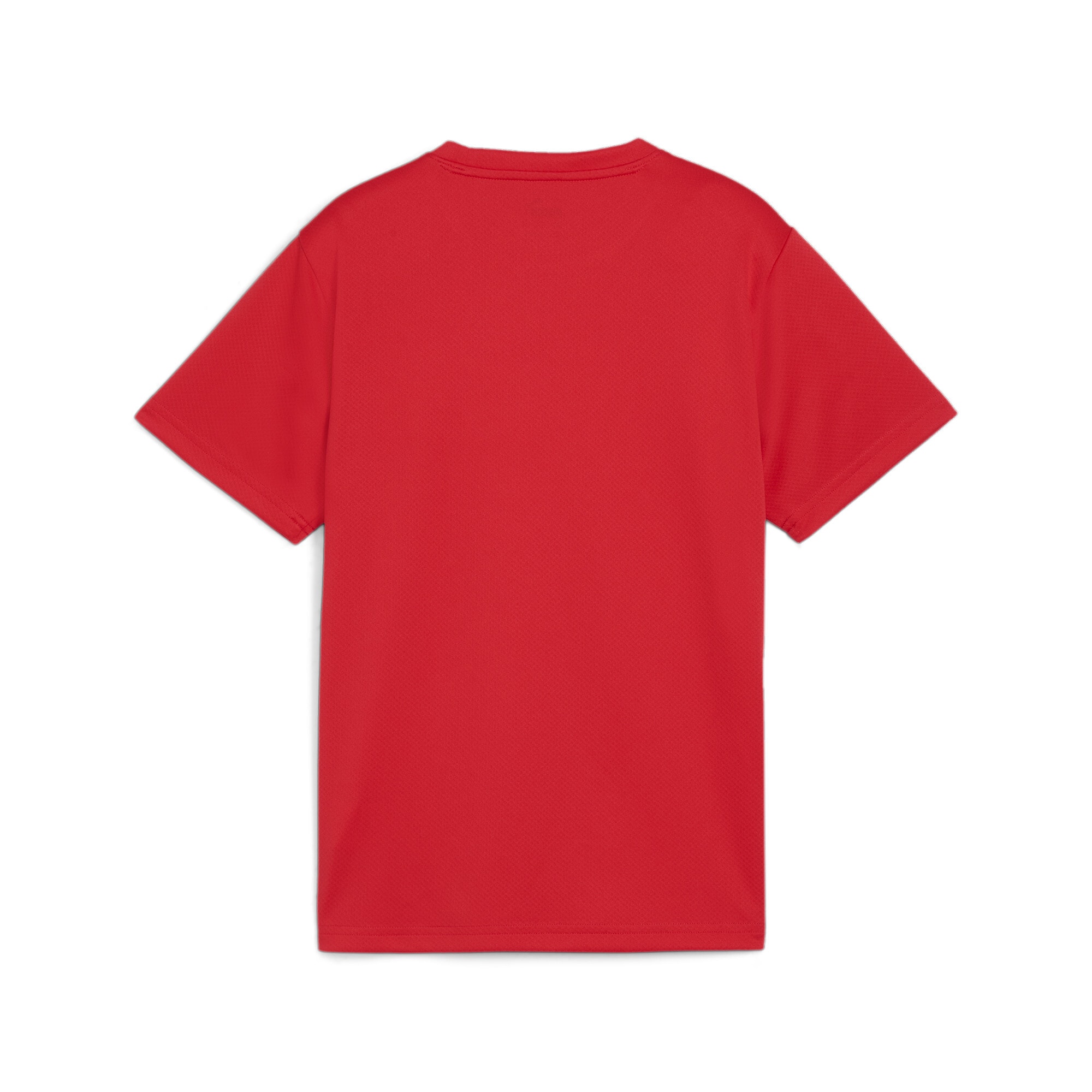 PUMA Trainingstop »TEAMGOAL JERSEY JR«