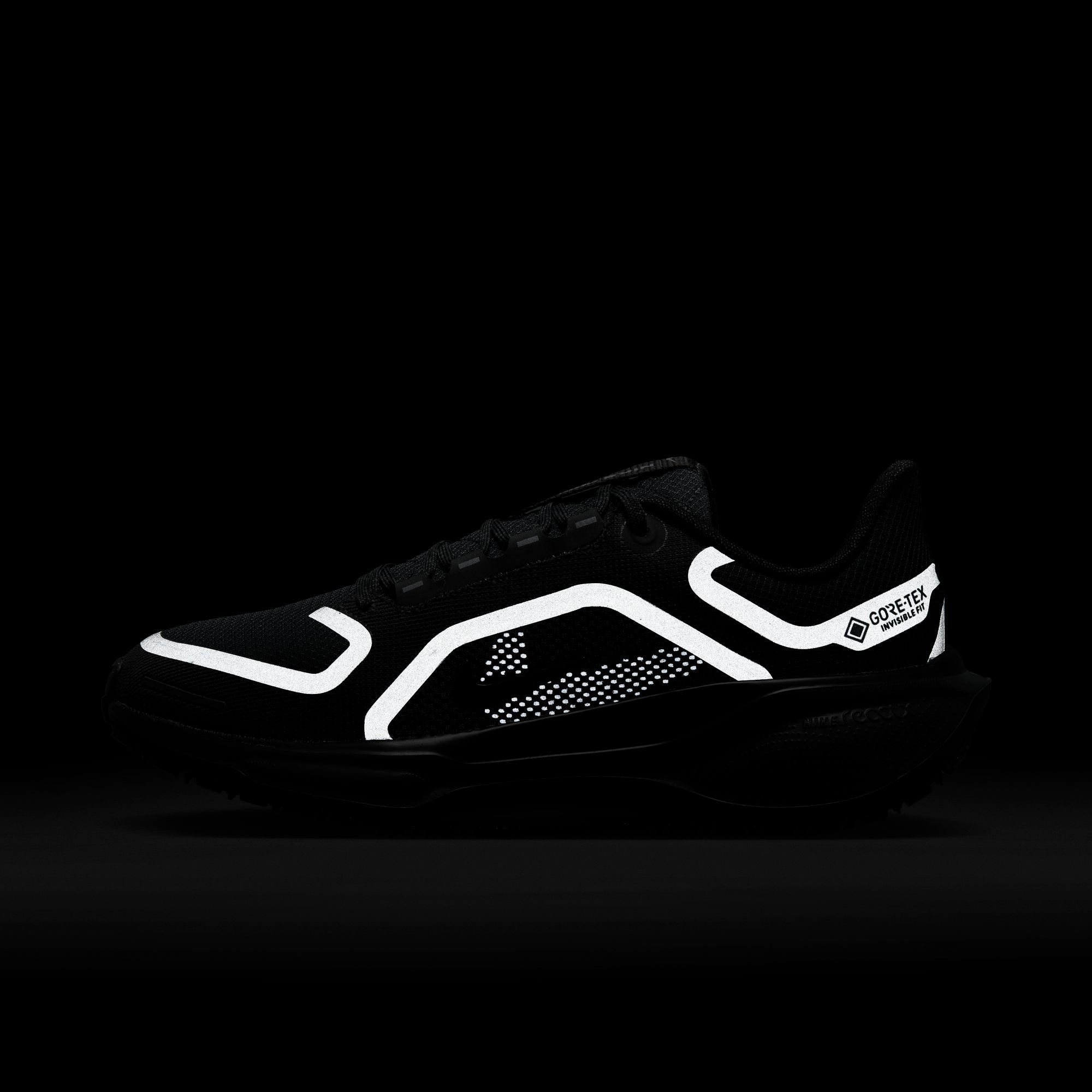 Nike Laufschuh »W AIR ZM PEGASUS 41 GTX«