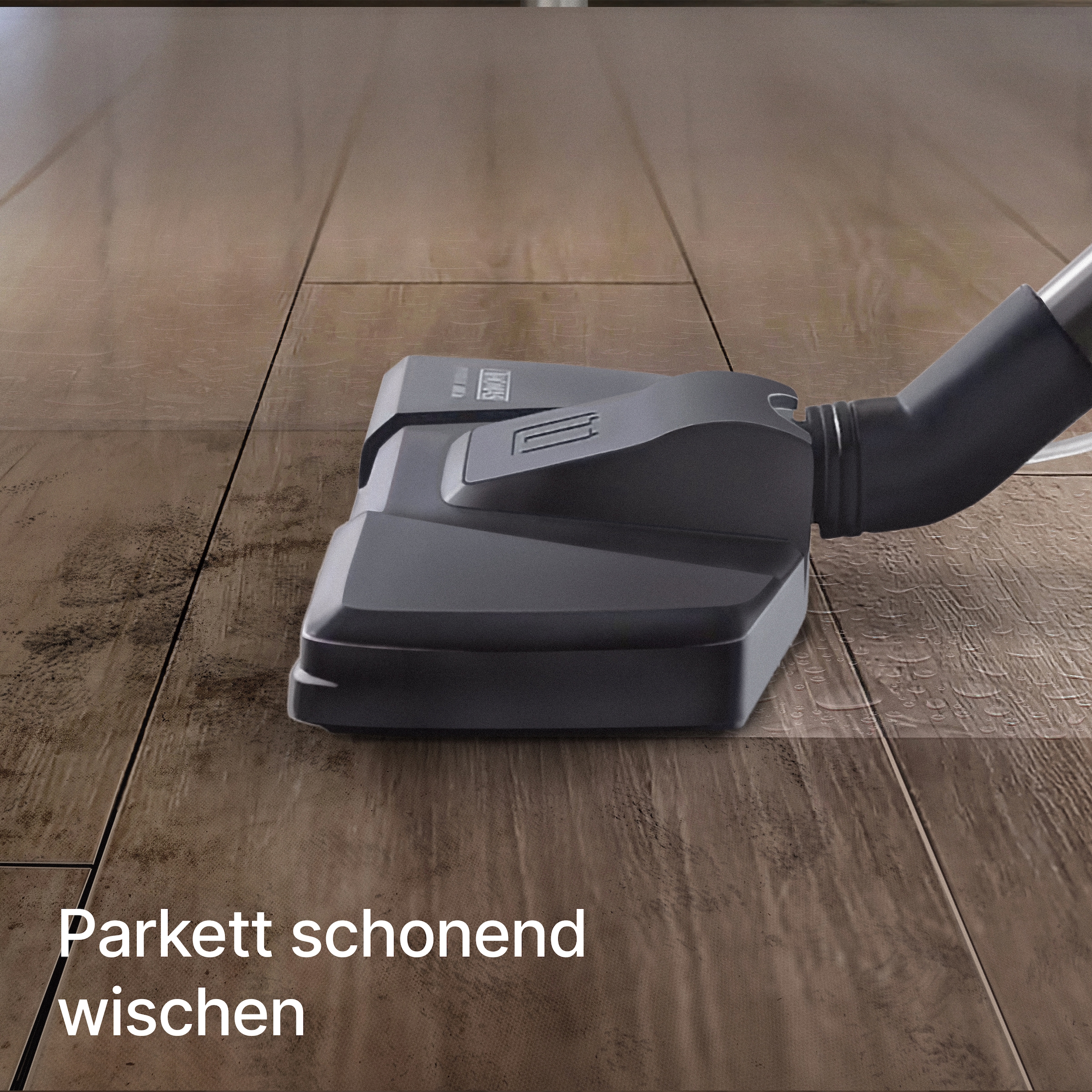 Thomas Staub-Wasch-Sauger »THOMAS PET & FAMILY PRO 4ALL«, mit 2-fach beutelloser Filtertechnologie