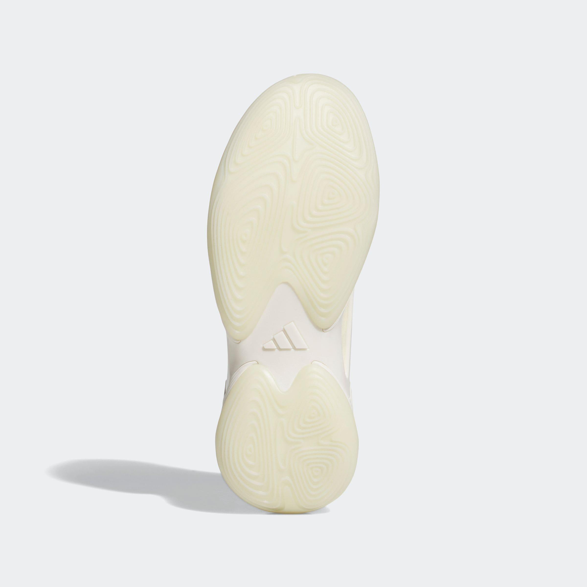 adidas Performance Basketballschuh »EXHIBIT SELECT 2.0 PRO«