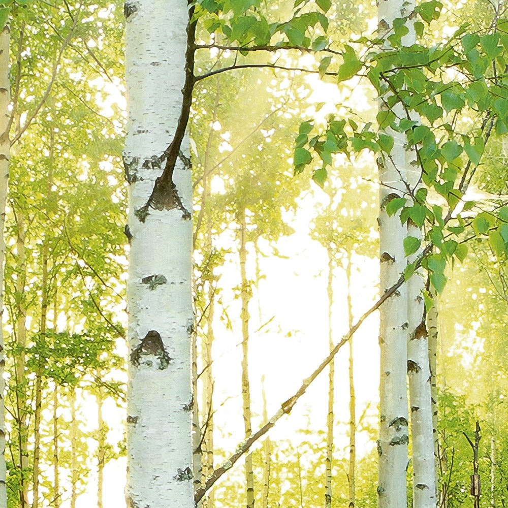 Komar Fototapete »Vlies Fototapete - Sunday - Größe 350 x 250 cm« Motiv | bedruckt glatt