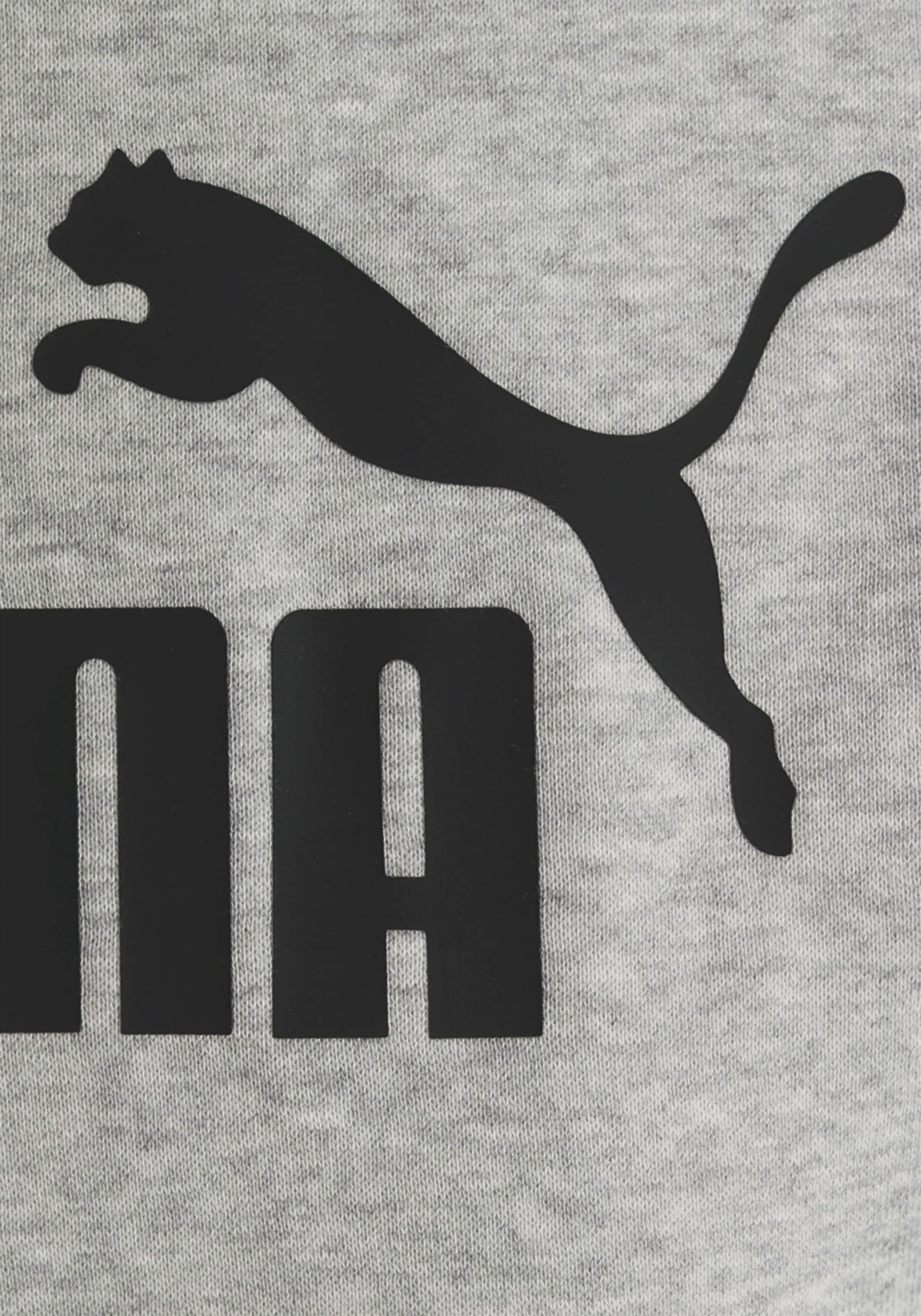 PUMA Kapuzensweatshirt »ESS LOGO HOODIE FL«