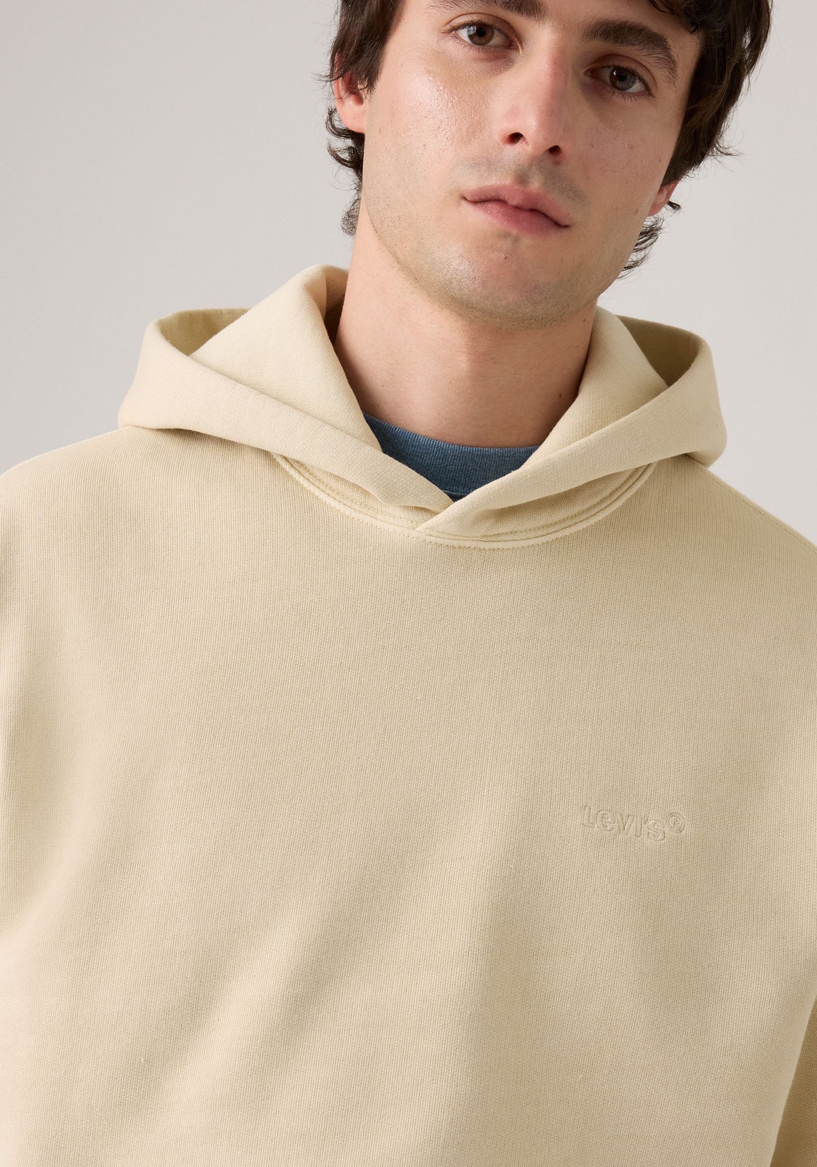 Levi's® Hoodie »THE AUTHENTIC HOODIE« mit kleiner Ton-in-Ton Logostickerei auf der Brust