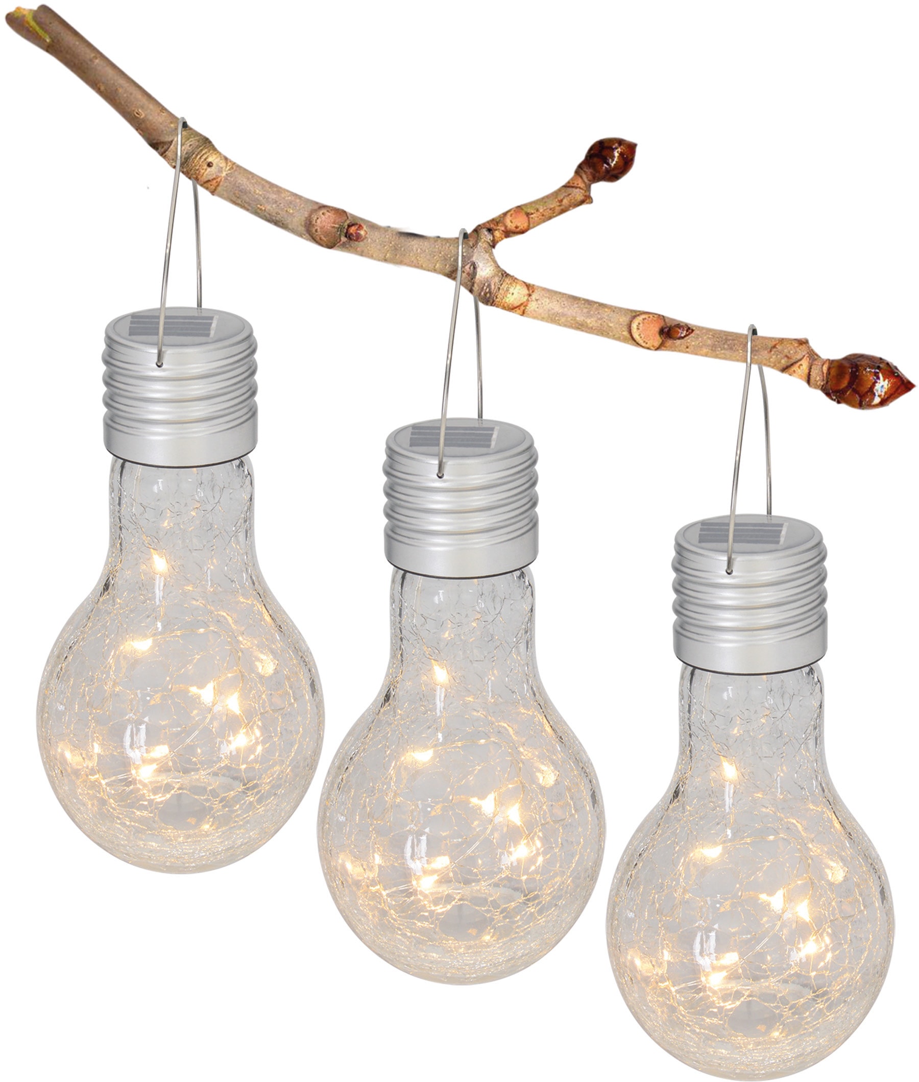 Bulb«, »Crackle mit 3er 3 flammig-flammig, LED Material: online XXL | Jahren 1 Farbe: Gartenleuchte Aufhängemöglichkeit, kaufen klar, Garantie Set näve Glas,