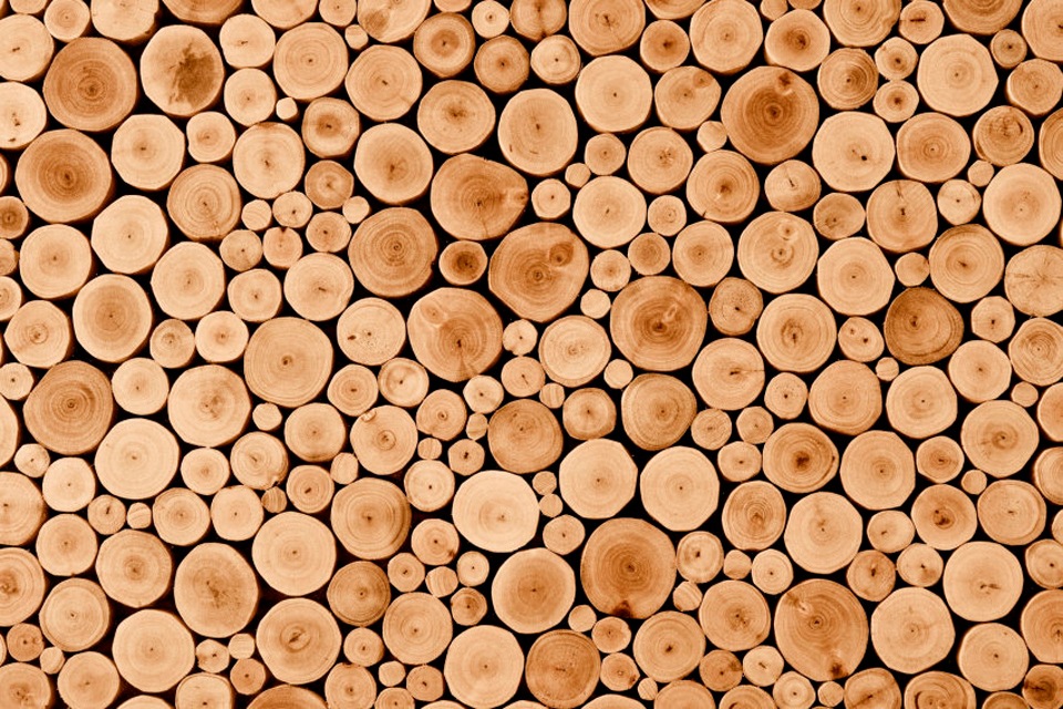 Papermoon Fototapete »Round Teak Wood«