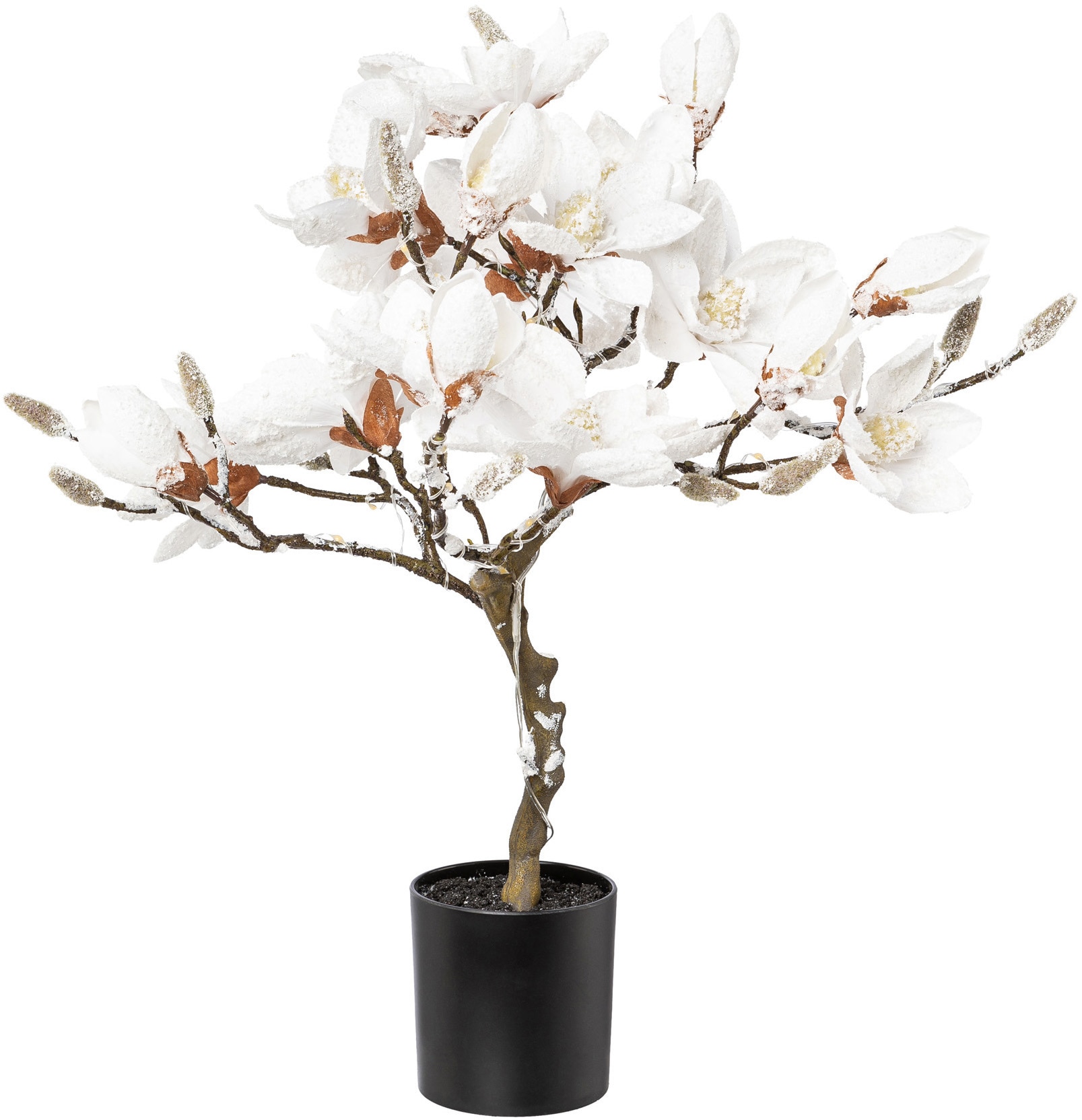 Garantie cm, XXL beschneit, »Magnolie«, deco ca. Höhe mit online LEDs Baum 20 | LED flammig-flammig, Jahren 58 mit 25 kaufen 3 Creativ