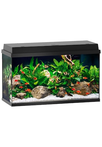 JUWEL AQUARIEN Aquarium »Primo 110«, BxTxH: 81x36x45 cm, 110 l kaufen