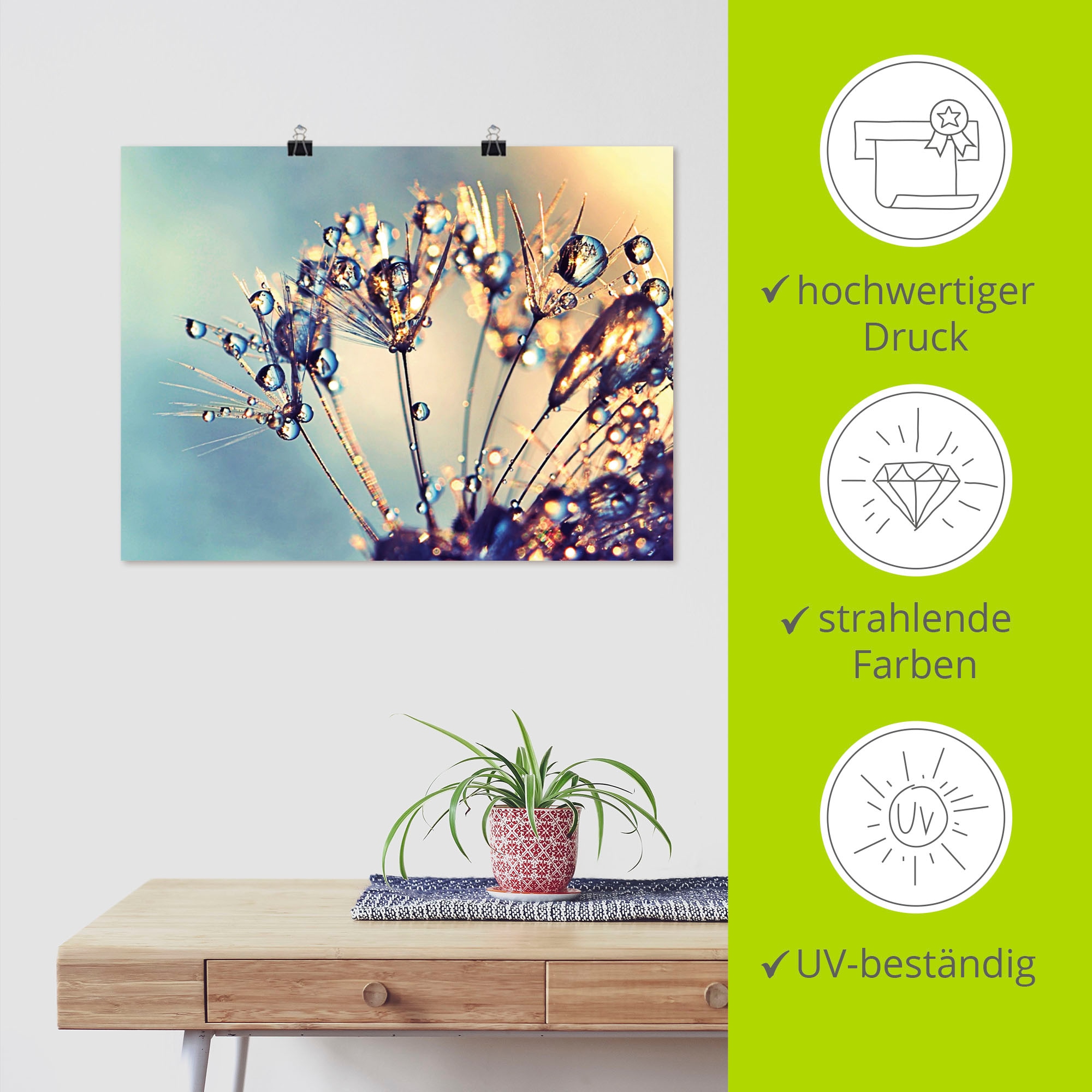 Artland Wandbild »Pusteblume Glitzertau« 1 Stk. tlg. als Leinwandbild, Poster in verschied. Größen