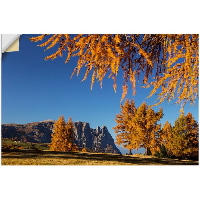Artland Wandbild »Goldener Herbst auf der Seiser Alm«, Wiesen & Baumbilder,  (1 St.), als Alubild, Leinwandbild, Wandaufkleber oder Poster in versch.  Größen auf Rechnung kaufen