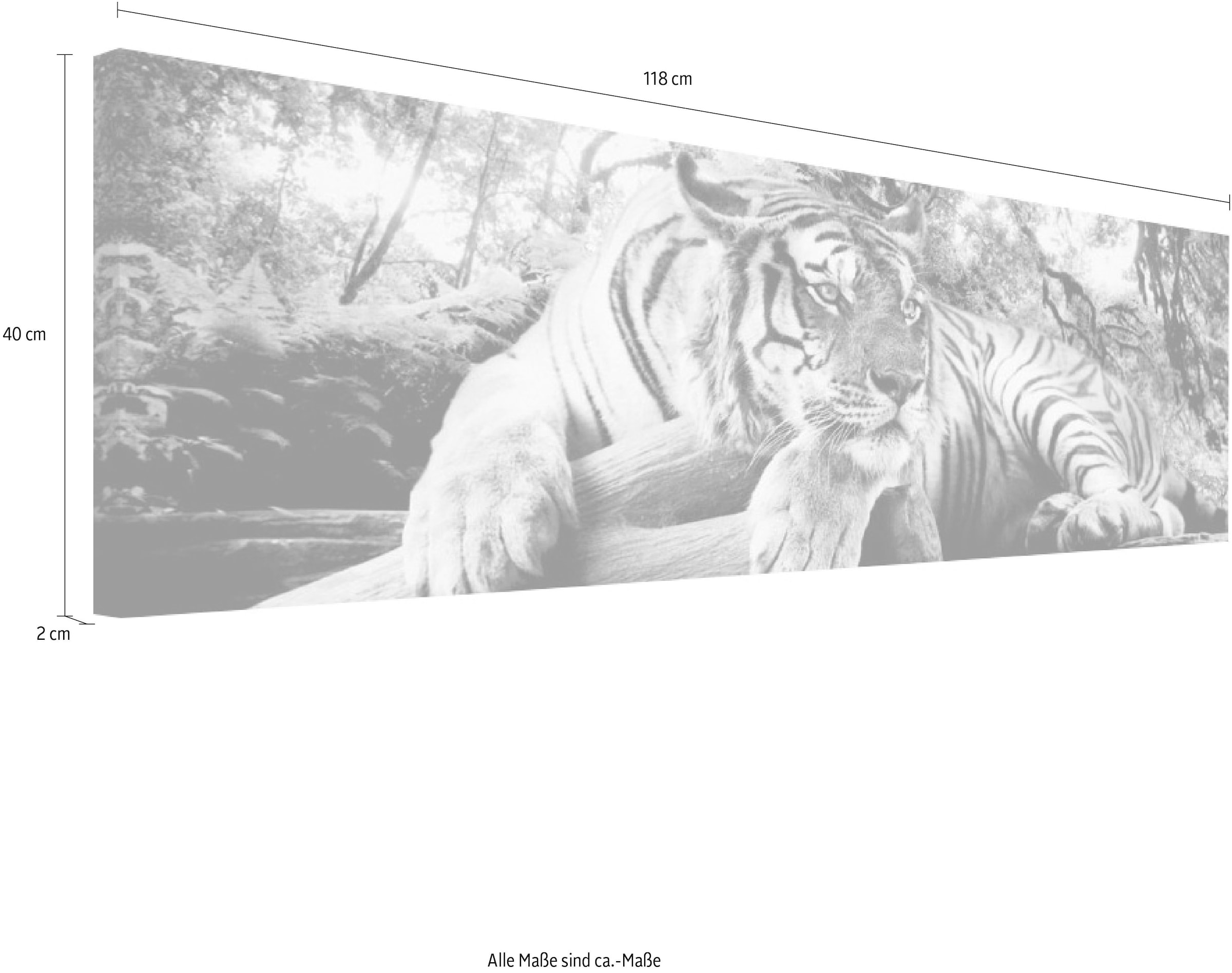 Raubtier Wandbild« Wandbild Reinders! - »Tigerblick kaufen bequem Tiger Wandbild - Wandbild Wohnzimmer -