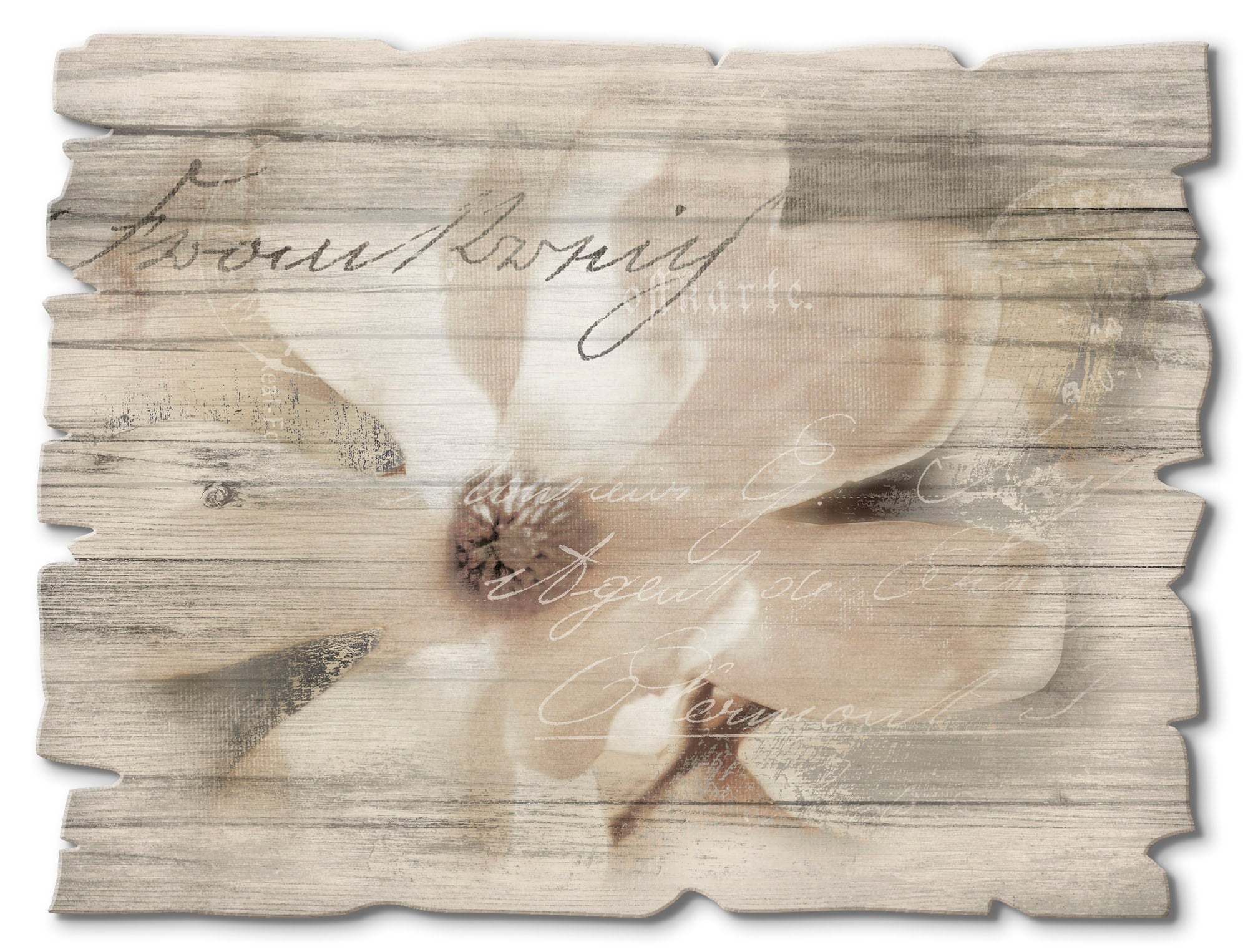 Artland Holzbild »Magnolie_Detail«, Blumen, bestellen bequem (1 St.)