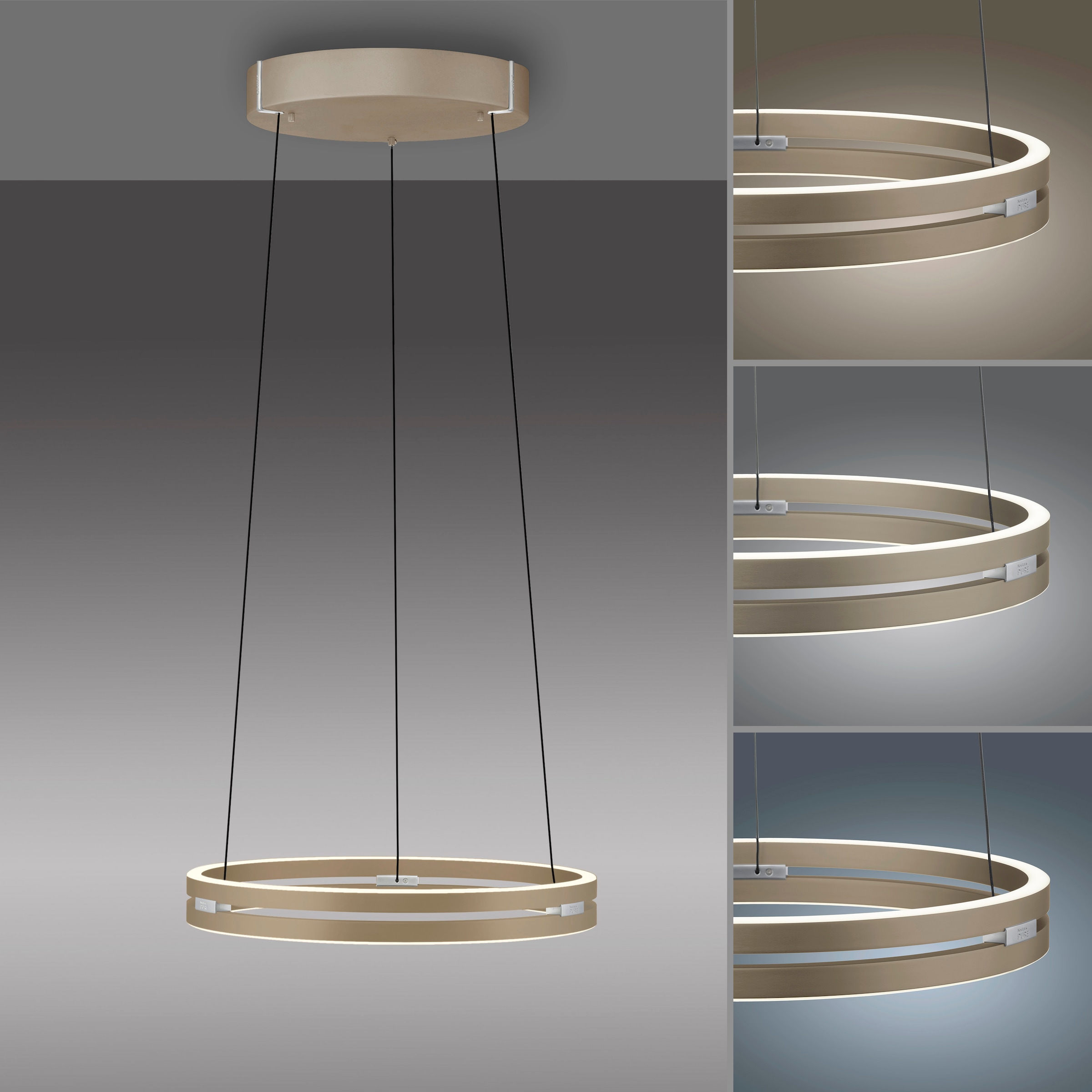 Neuhaus PURE LED Pendelleuchte »PURE E-Loop« LED-Board 1 Stk. warmweiß - kaltweiß e-LIFT® Funktion, CCT, dimmbar über Fernbedienung