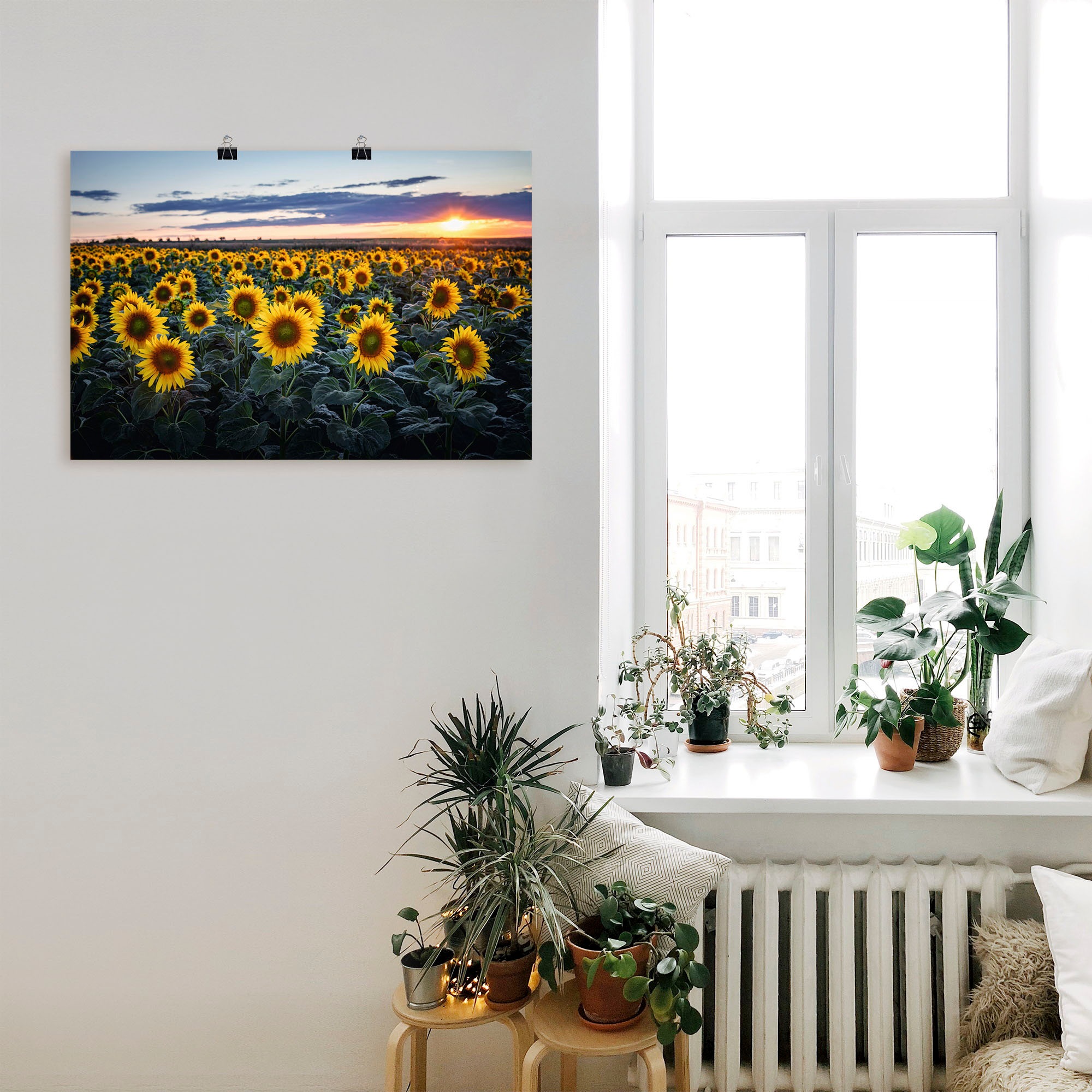 Größen in Artland im Hintergrund«, Leinwandbild, oder auf St.), Alubild, Wandaufkleber Sonne (1 Poster Raten Blumenwiese, »Sonnenblumenfeld, als kaufen versch. Wandbild