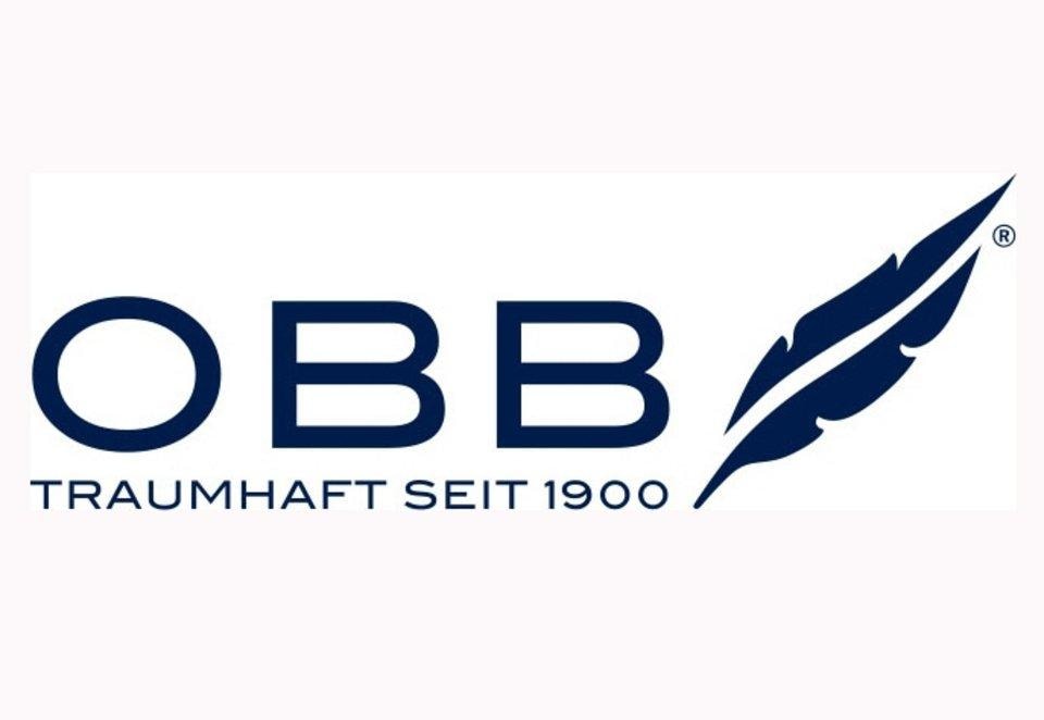 OBB Daunenbettdecke »DeLuxe Komfort«, normal, (1 St.)