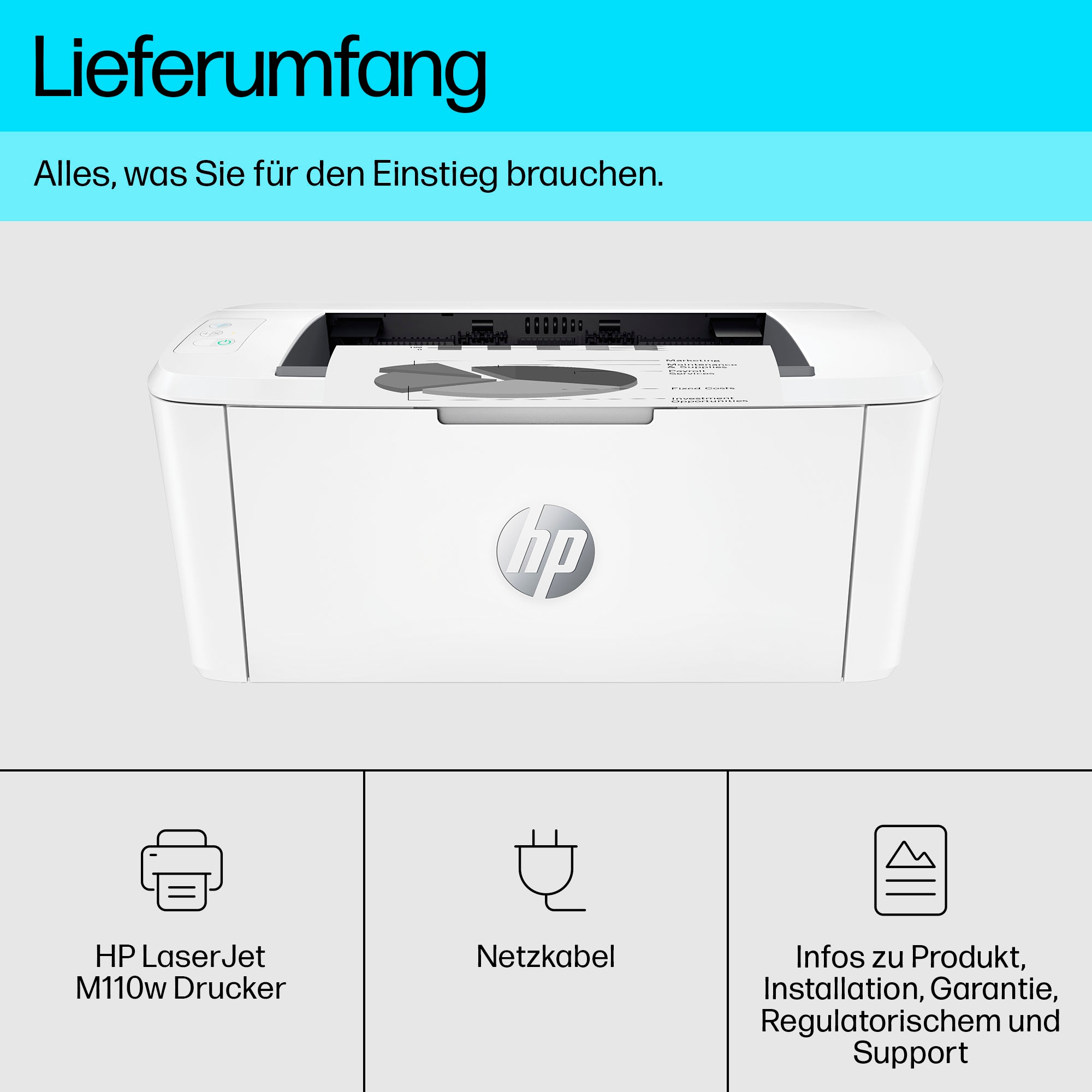 HP Schwarz-Weiß Laserdrucker »LaserJet M110w«