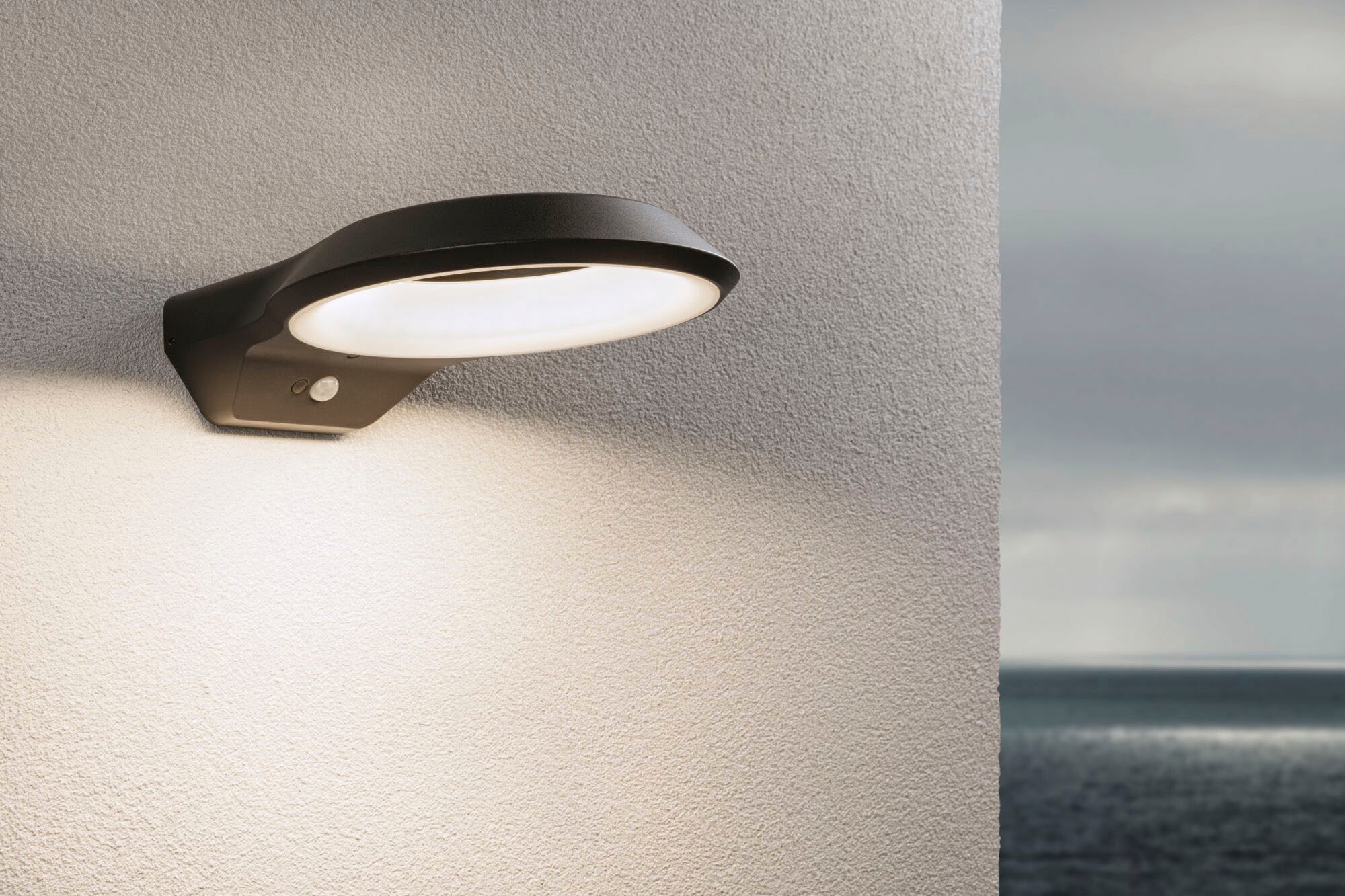 Paulmann LED Außen-Wandleuchte »Anela 230V anthrazit IP44«, 1 flammig