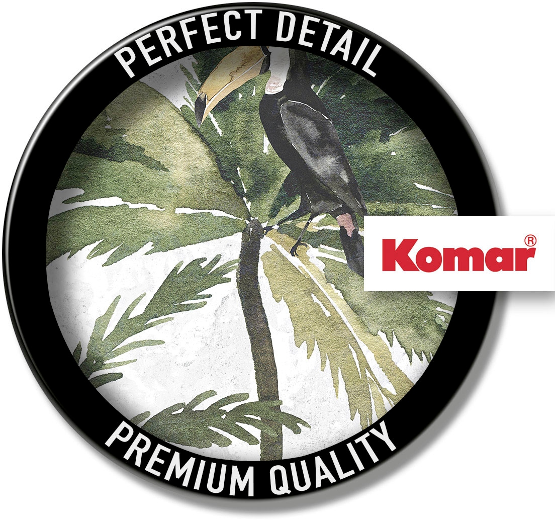 Komar Bild »Tropical Toucan«, Natur, (1 St.), Wandbild zur Dekoration - ohne Rahmen