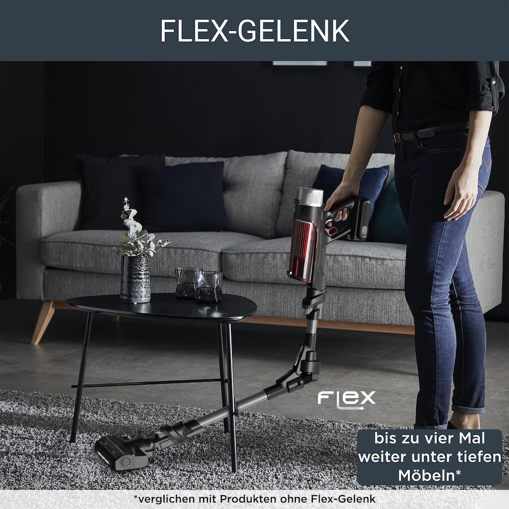 Rowenta Akku-Hand-und Stielstaubsauger »RH2078 X-Force Flex 9.60 Animal«