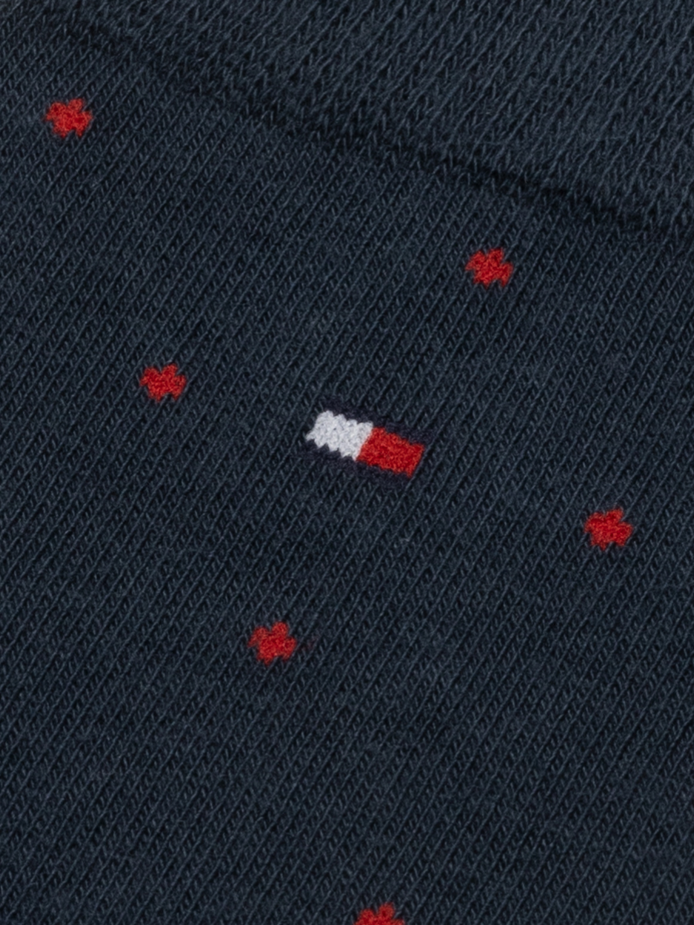 Tommy Hilfiger Socken »TH MEN SOCK 2P DOT«, (2 Paar, 2 Paar), mit klassischer Markenprägung