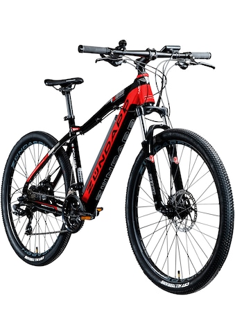 E-Bike »Z801«, 21 Gang, Shimano, Tourney RD-TY300, Heckmotor 250 W