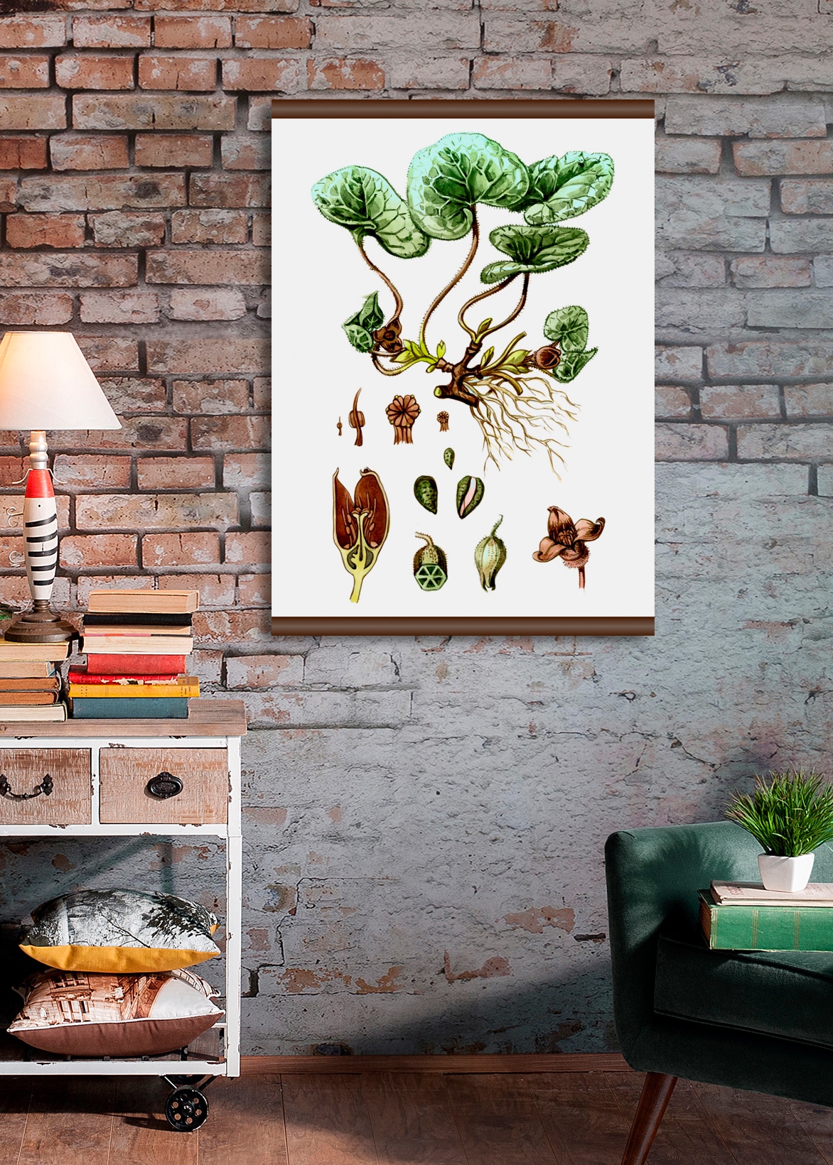 50x70 kaufen »Pflanzen auf Anatomie«, Leinwandbild cm Rechnung queence