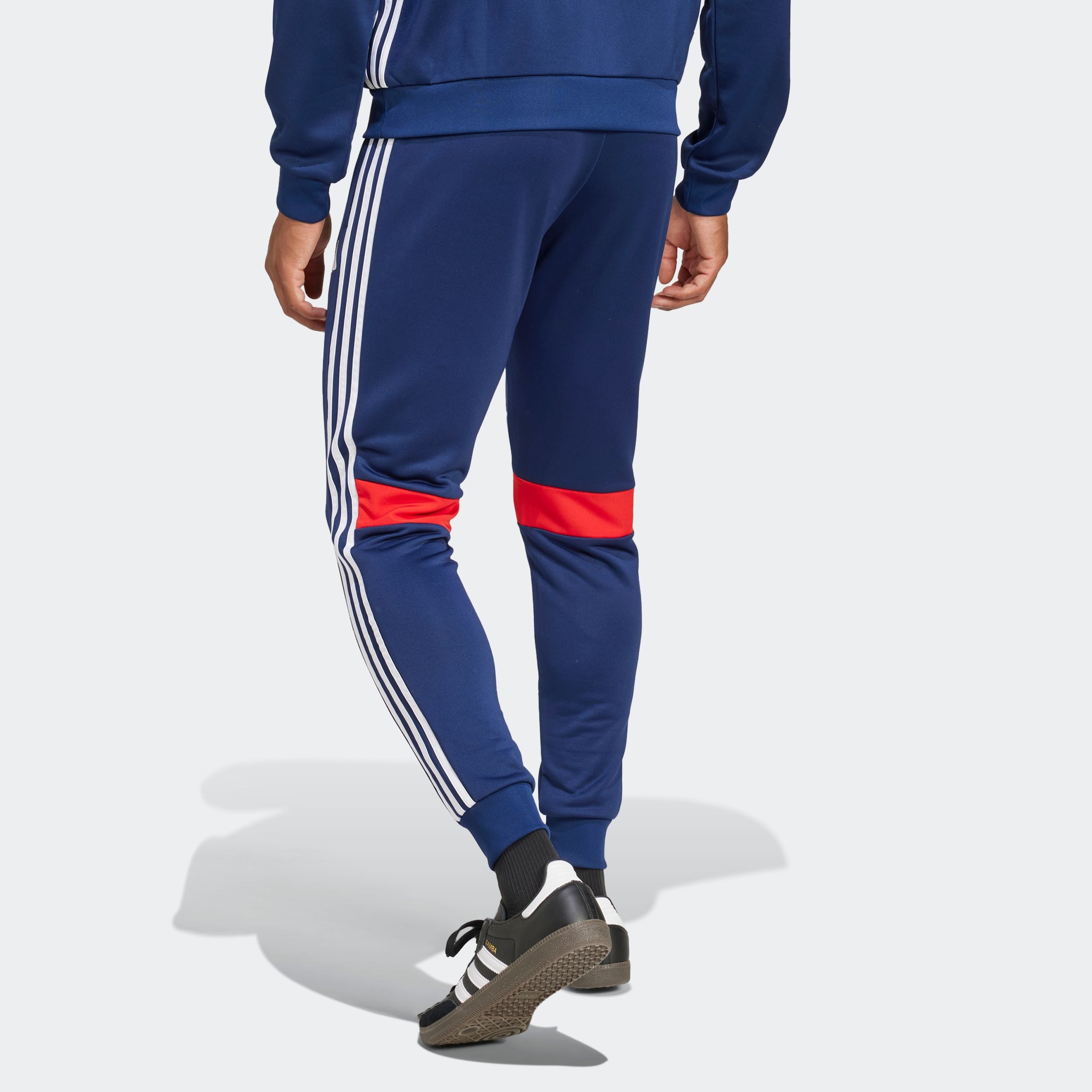 adidas Performance Trainingshose »TIRO ES SW PT«, (1 tlg.)