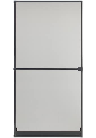 Insektenschutz-Tür »BASIC«, anthrazit/anthrazit, BxH: 100x210 cm