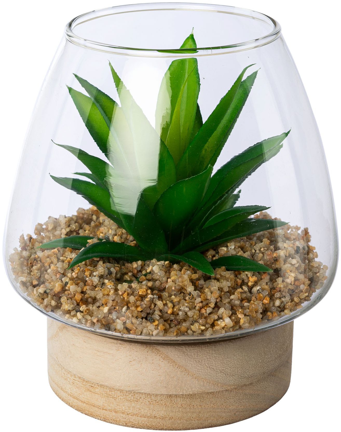 Creativ green Kunstpflanze »Sukkulenten im Glasgefäß« mit 2 verschiedenen Sukkulenten