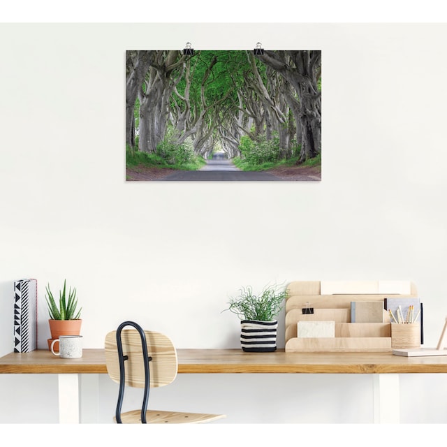 Artland Wandbild »Straße durch den Zauberwald«, Waldbilder, (1 St.), als  Alubild, Leinwandbild, Wandaufkleber oder Poster in versch. Größen auf  Rechnung bestellen