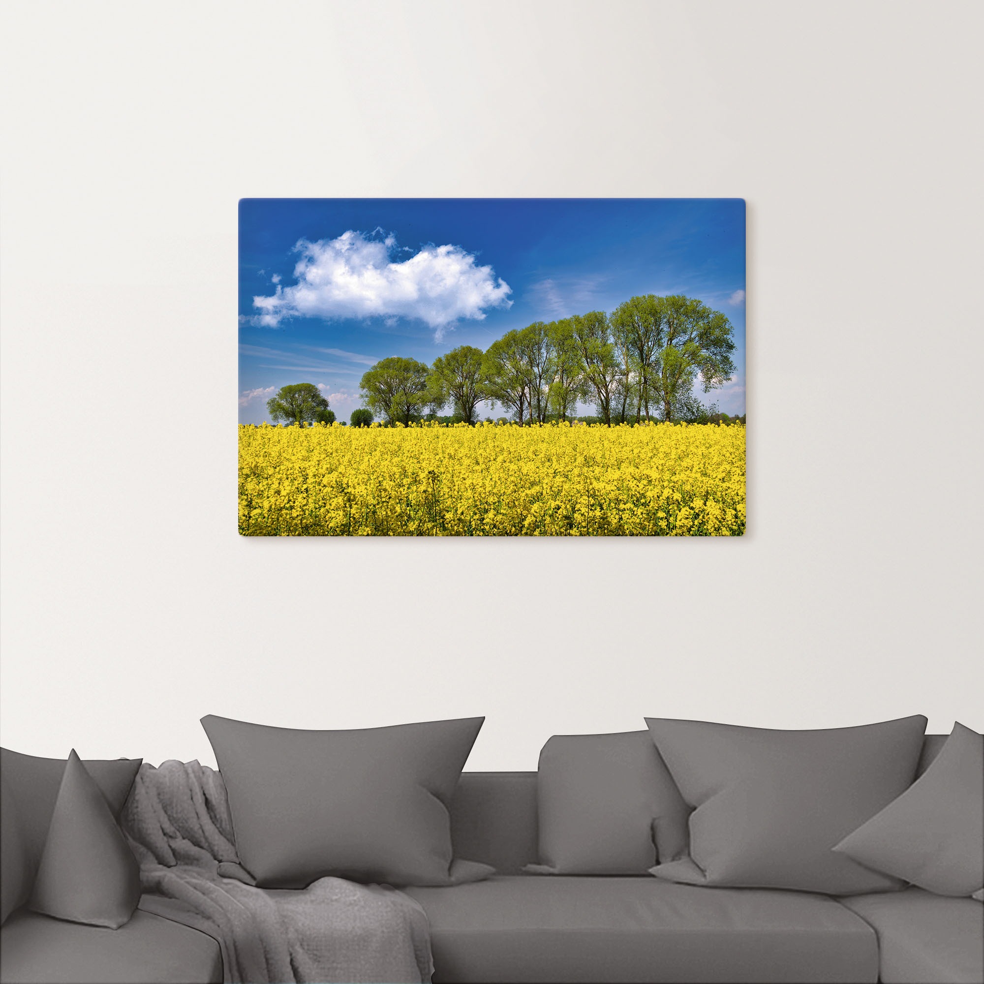 Artland Leinwandbild »Rapsfeld im Frühling«, Felder, (1 St.), auf Keilrahmen gespannt