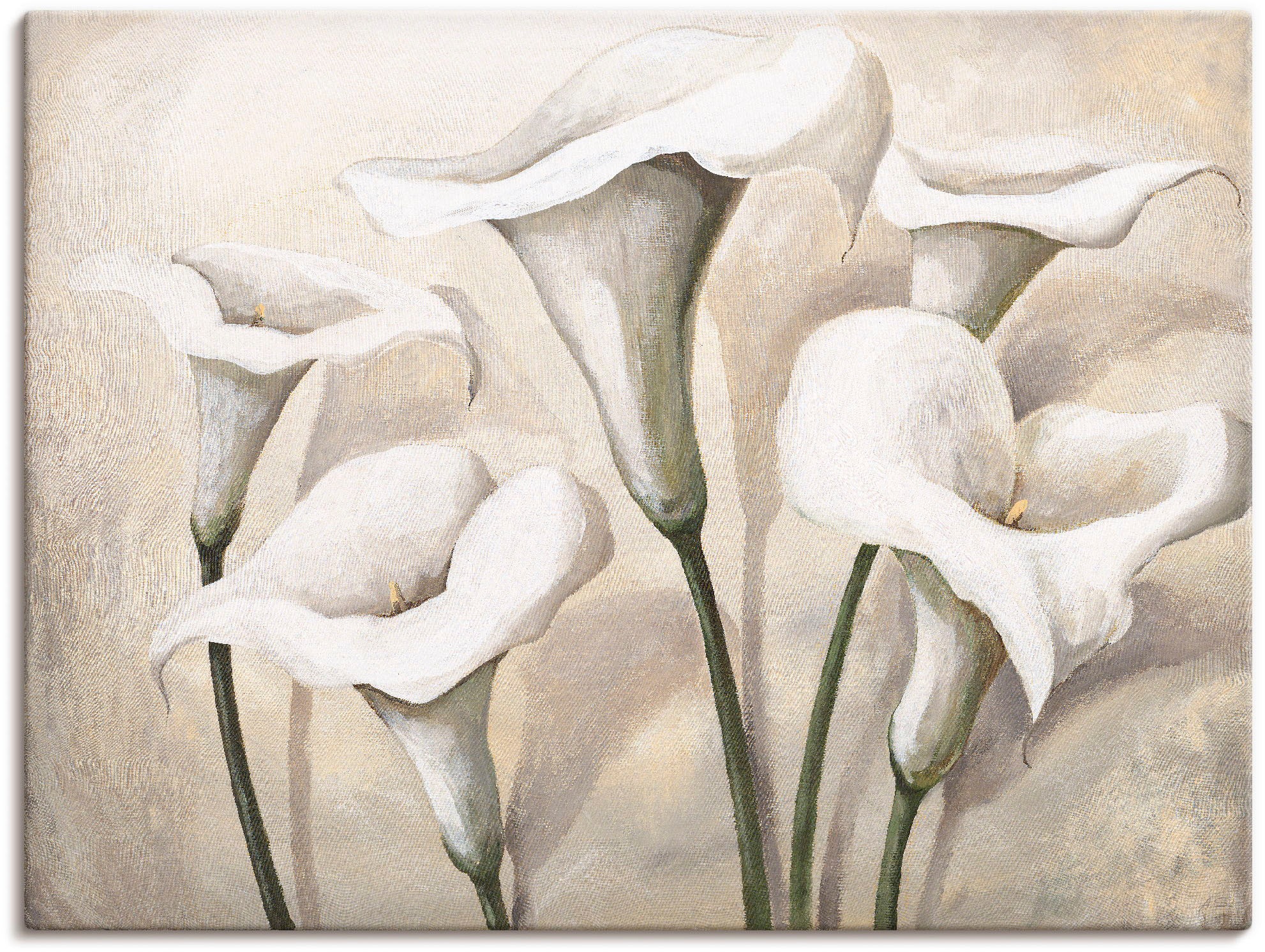 Artland Leinwandbild "Callas I" Blumen 1 Stk. tlg. auf Holzrahmen gespannt