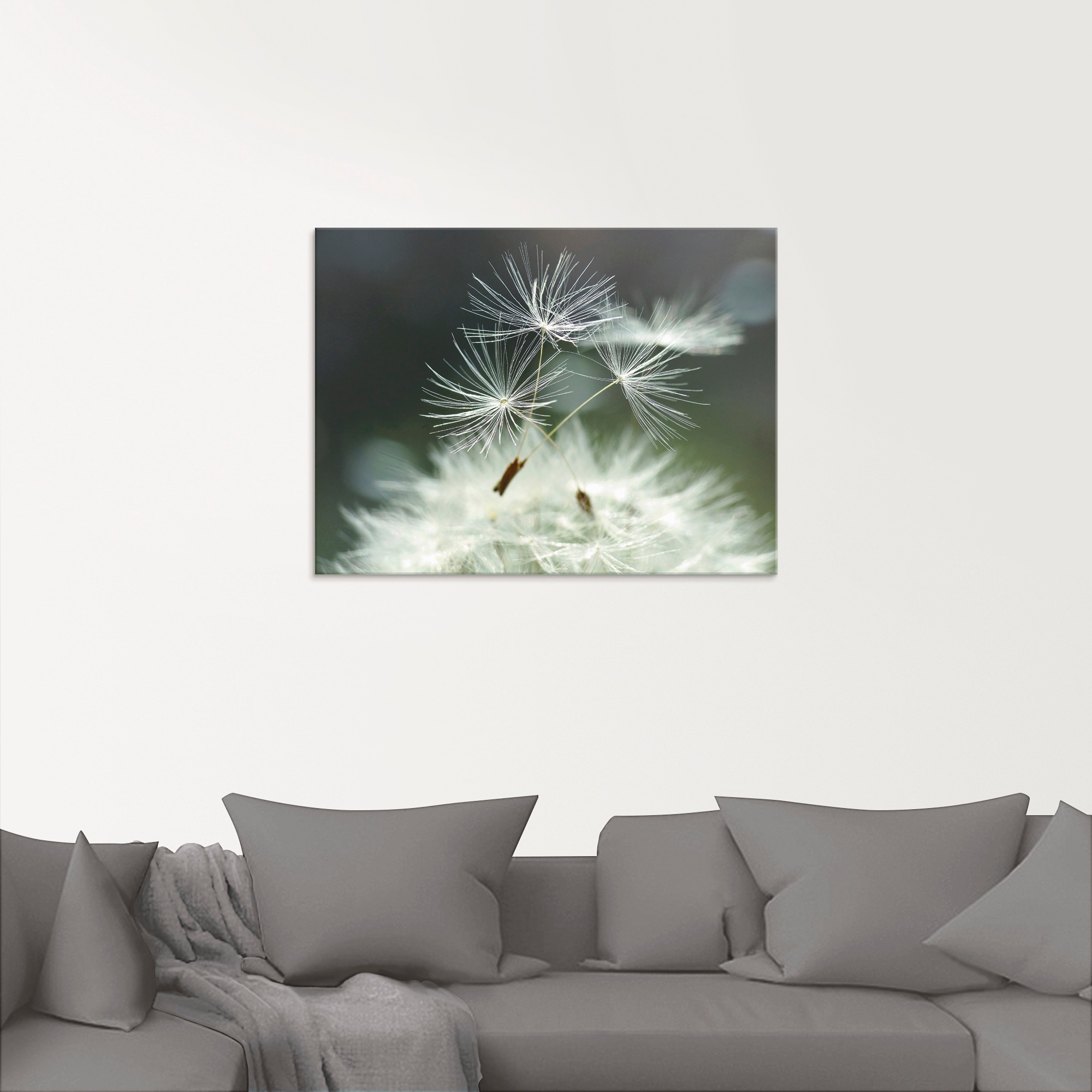 Artland Glasbild »Pusteblume Facility«, Blumen, (1 St.), in verschiedenen Größen