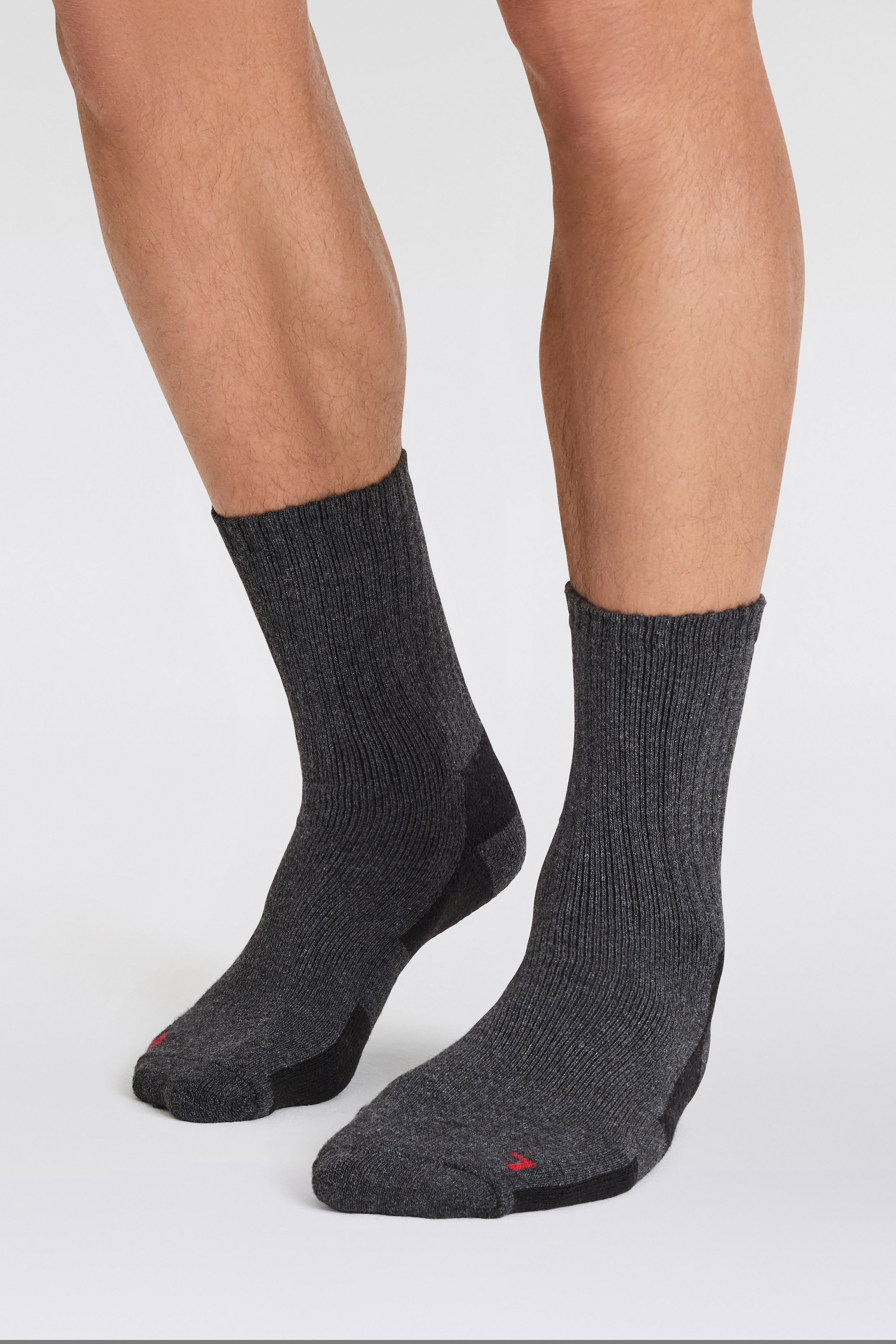 Apollo Basicsocken »THERMAL/TRACKING SOCKS«, (3er Pack), Unisex mit wärmenden Merinowoll-Anteil